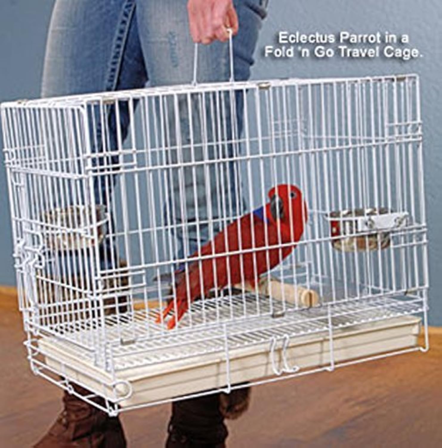 Durable Easy Portable Metal Travel or Veterinary Collapsable Parrot Bird Carrier Beaks Proof Cage with Stainless Steel Feeder Bo