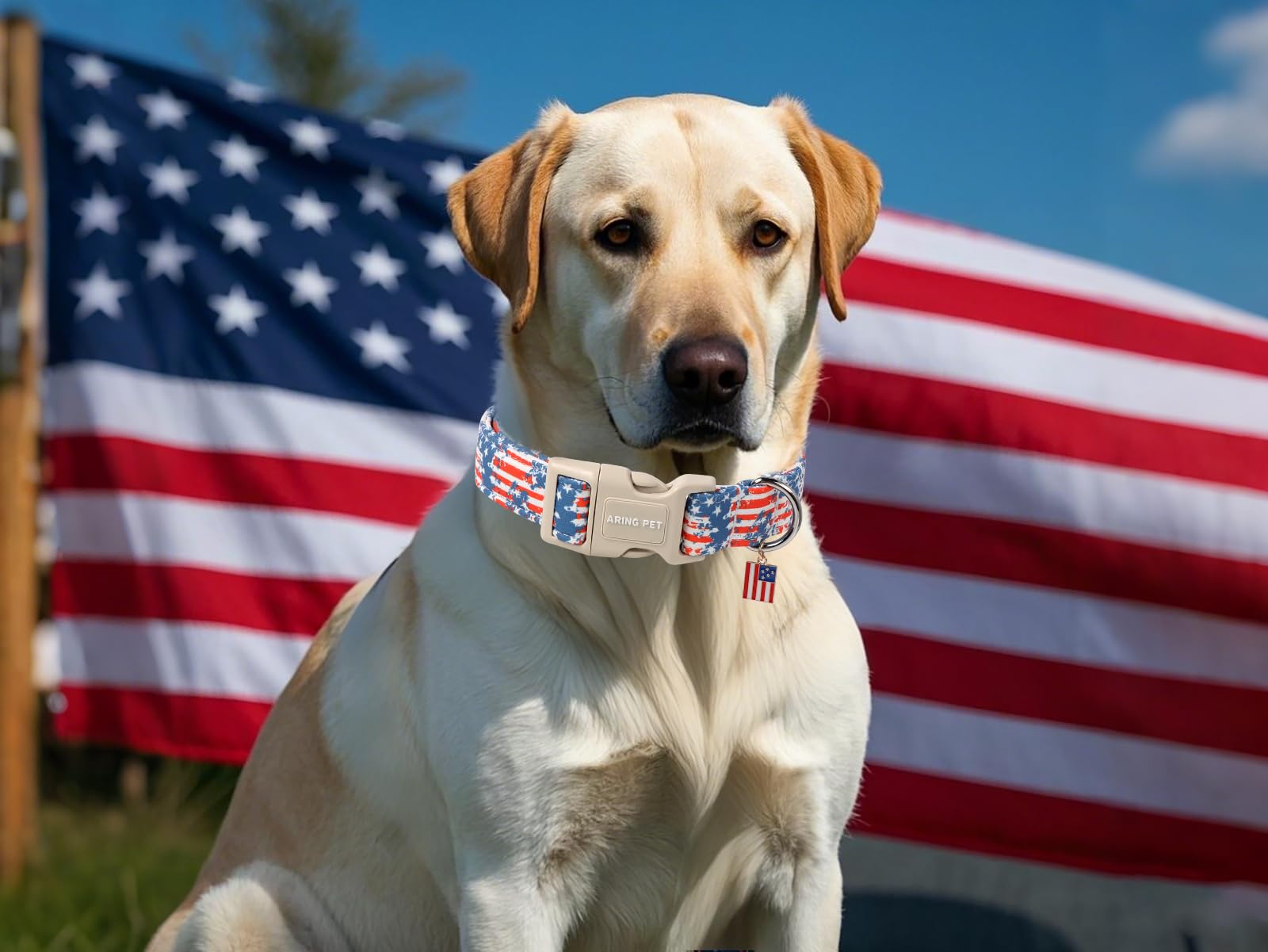 Aring Pet 4Th Of July Dog Collar-Cute Patriotic Dog Collars, Adjustable American Flag Pet Collars Puppy Collar With Quick Releas