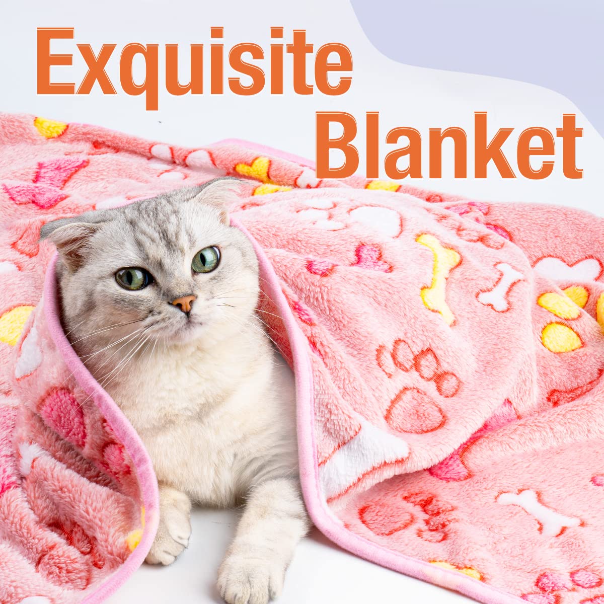 Pet Soft Blankets For Dogs - Fluffy Cats Dogs Blankets For Small Medium & Large Dogs, Cute Print Pet Throw Puppy Blankets Fleece (Bone, 3L), Large(41'*31')