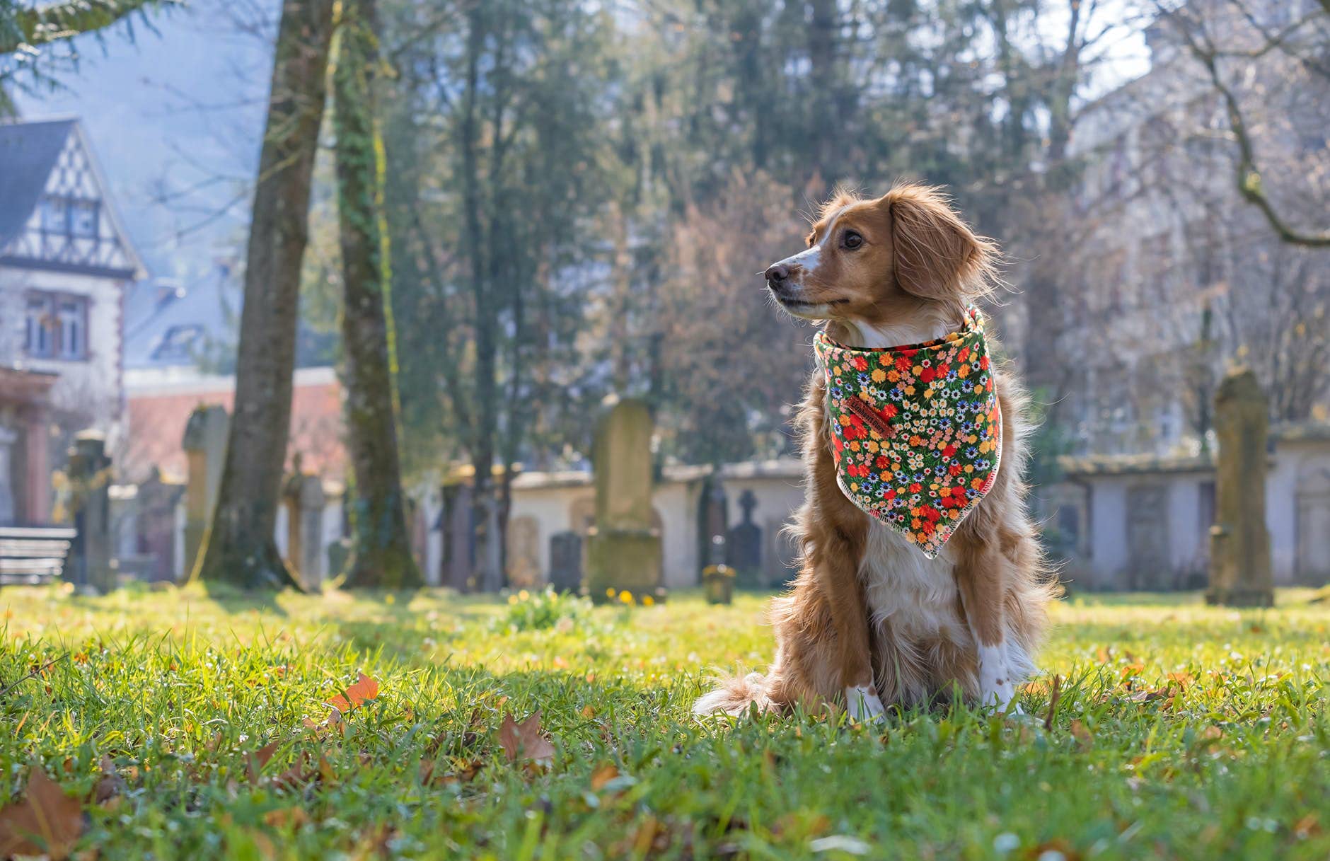 Lionheart Glory Dog Bandana 1 Pack Washable Soft Cotton Daisy Print Bibs Scarf, Adjustable Kerchief Square Dog Bandanas For Smal