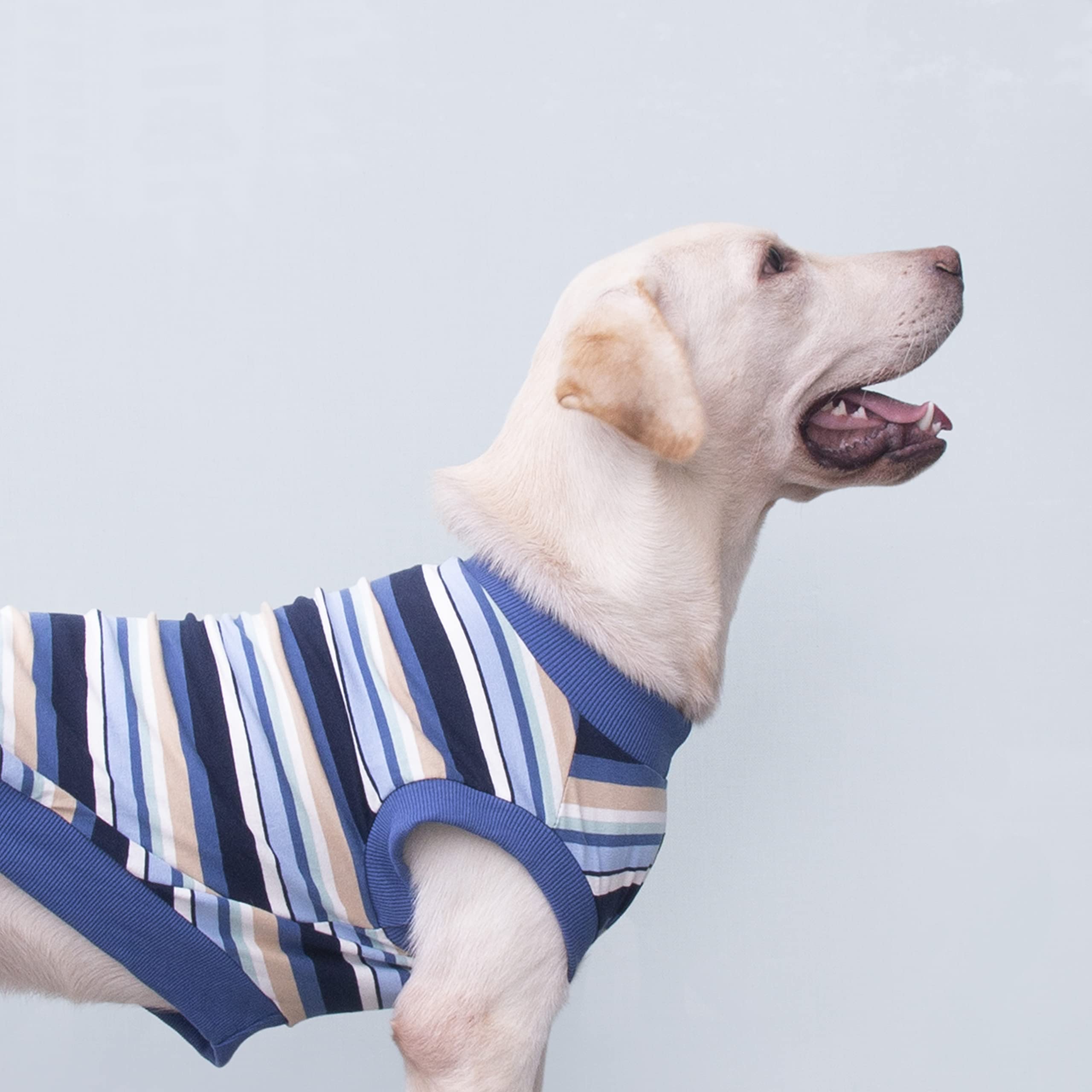 Arunners Extra Large Dog T Shirts Clothes Sleeveless Tank Top Vest For Labrador Rottweiler Great Dane, Blue, 8X-Large