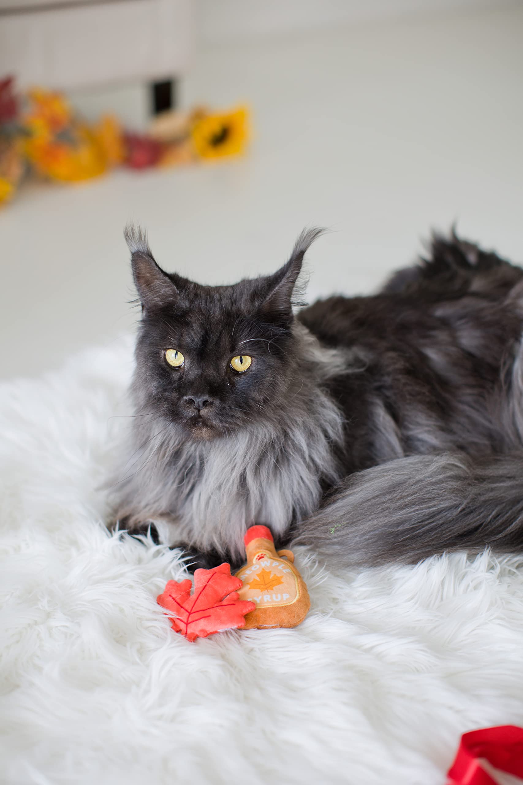 Pearhead Maple Cat Toys, Holiday Pet Toy, Thanksgiving Cat Toy, Crinkle And Cat Nip Toys, Cat Teaser Toys, Must Have Pet Accessories For Pet Owners, Toys To Play Chase Exercise, Set Of 2