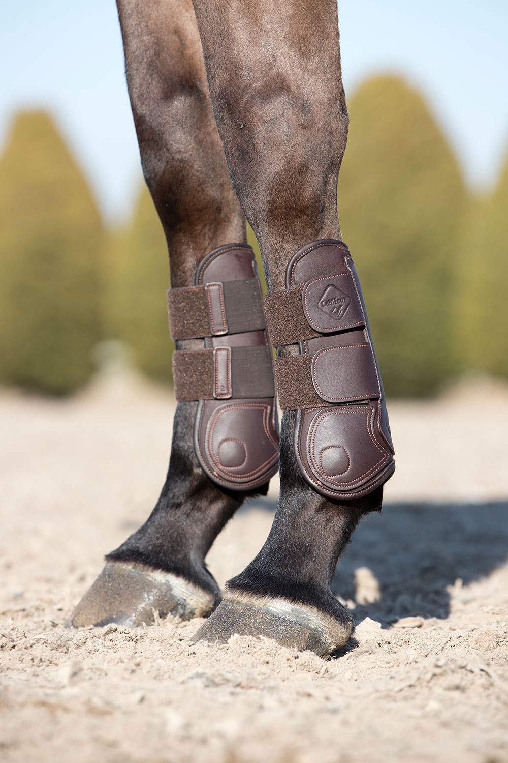 Lemieux Capella Tendon Boots Brown