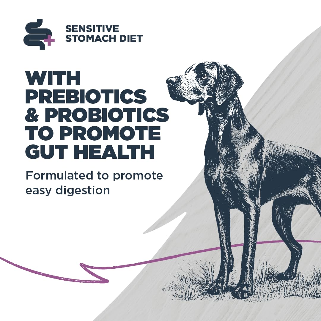 Blackwood Sensitive Skin & Stomach Dry Dog Food, Salmon Meal & Brown Rice with Ancient Grains, 4.5 Pound Bag with Prebiotics & P