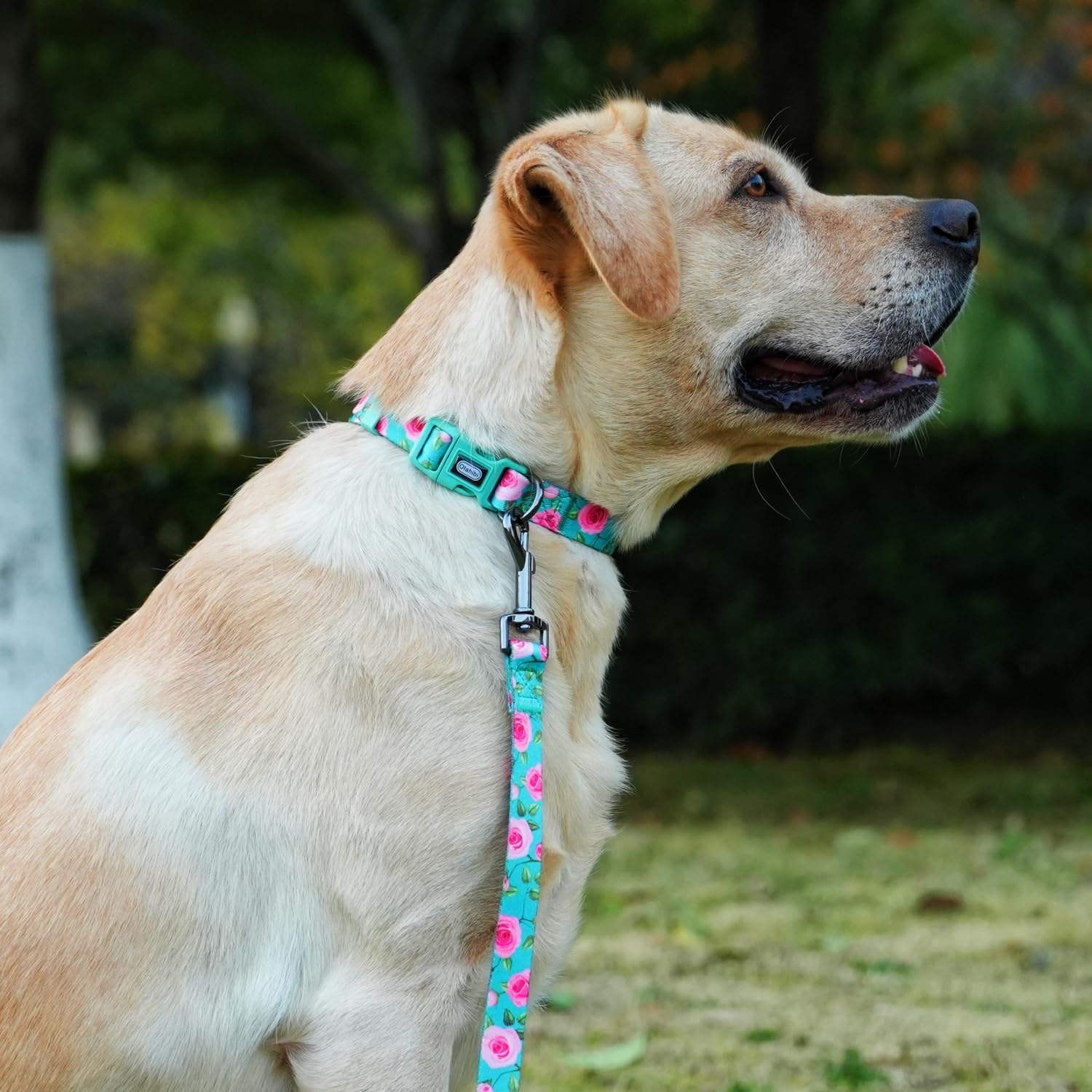 Olahibi Dog Collar And Leash Set, Rose Pattern, Polyester Material, 5Ft Matching Leash, For Medium Dogs.(M, Green Rose Set)