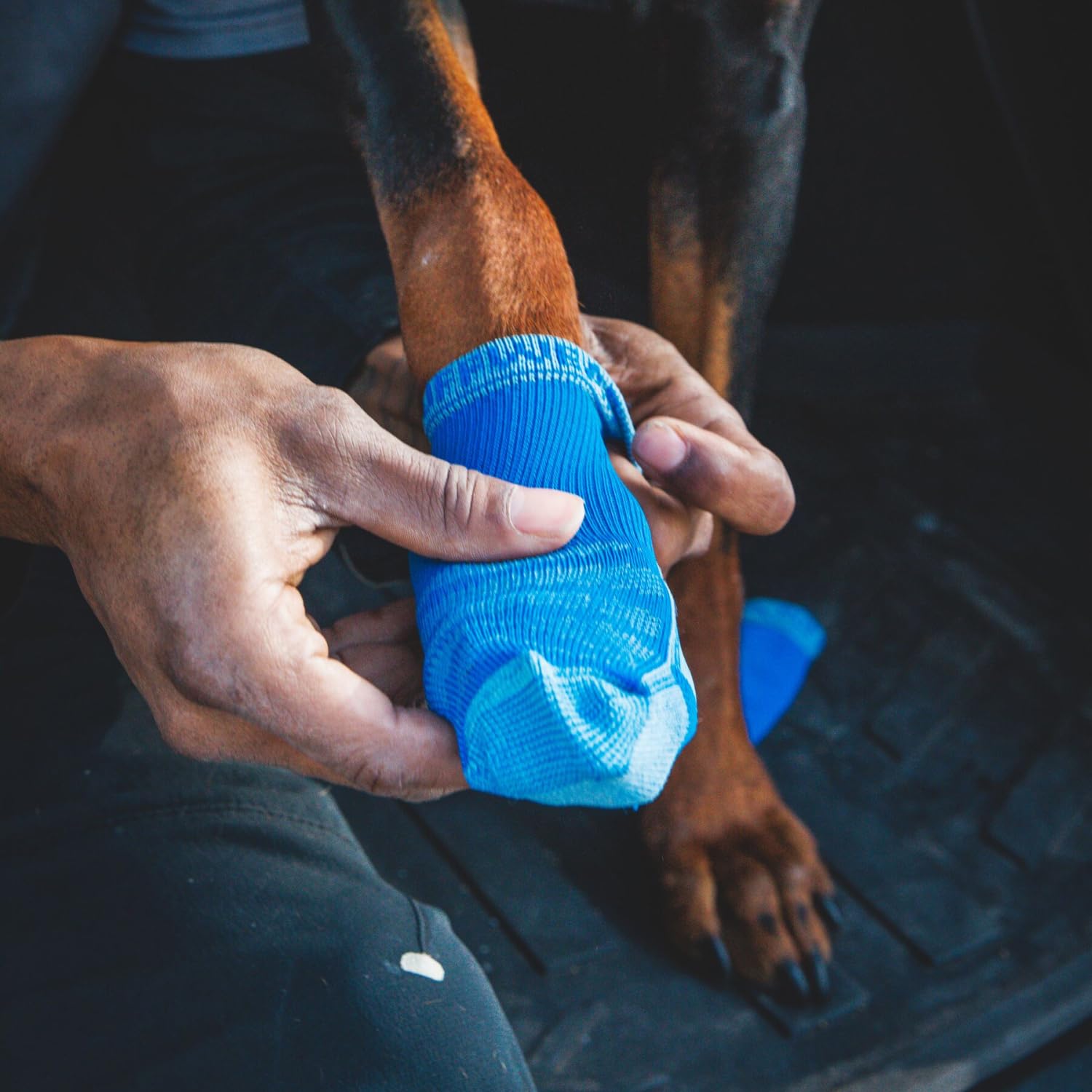 Ruffwear, Bark'N Boot Socks, Comfortable Dog Socks & Boot Liners, Blue Pool, 3.00 In/ 3.25 In