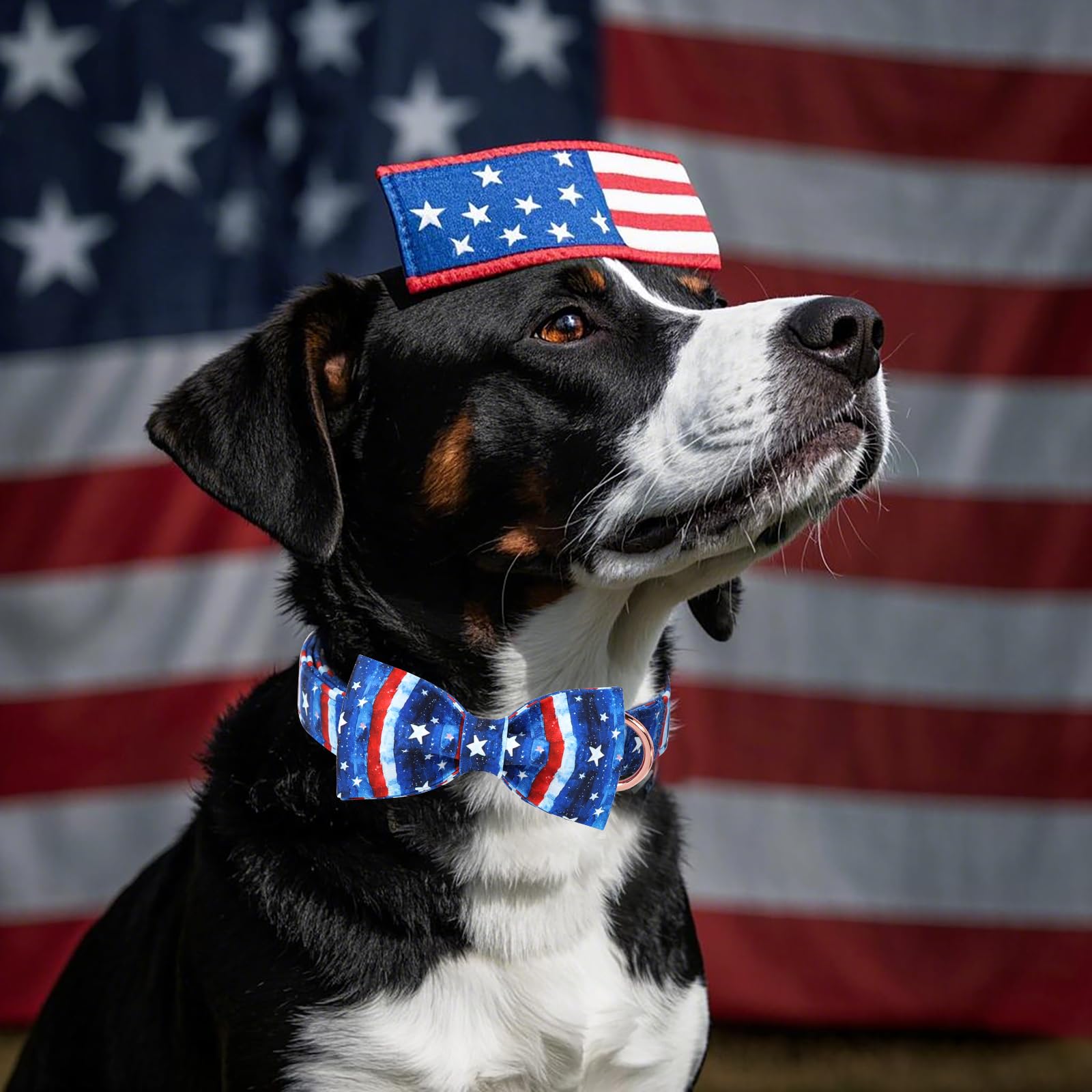 Babole Pet 4Th Of July Dog Collar With Bow Tie - Flag Day Stars & Stripes Patriotic Bowtie Collar Independence Day Safety Dog Co