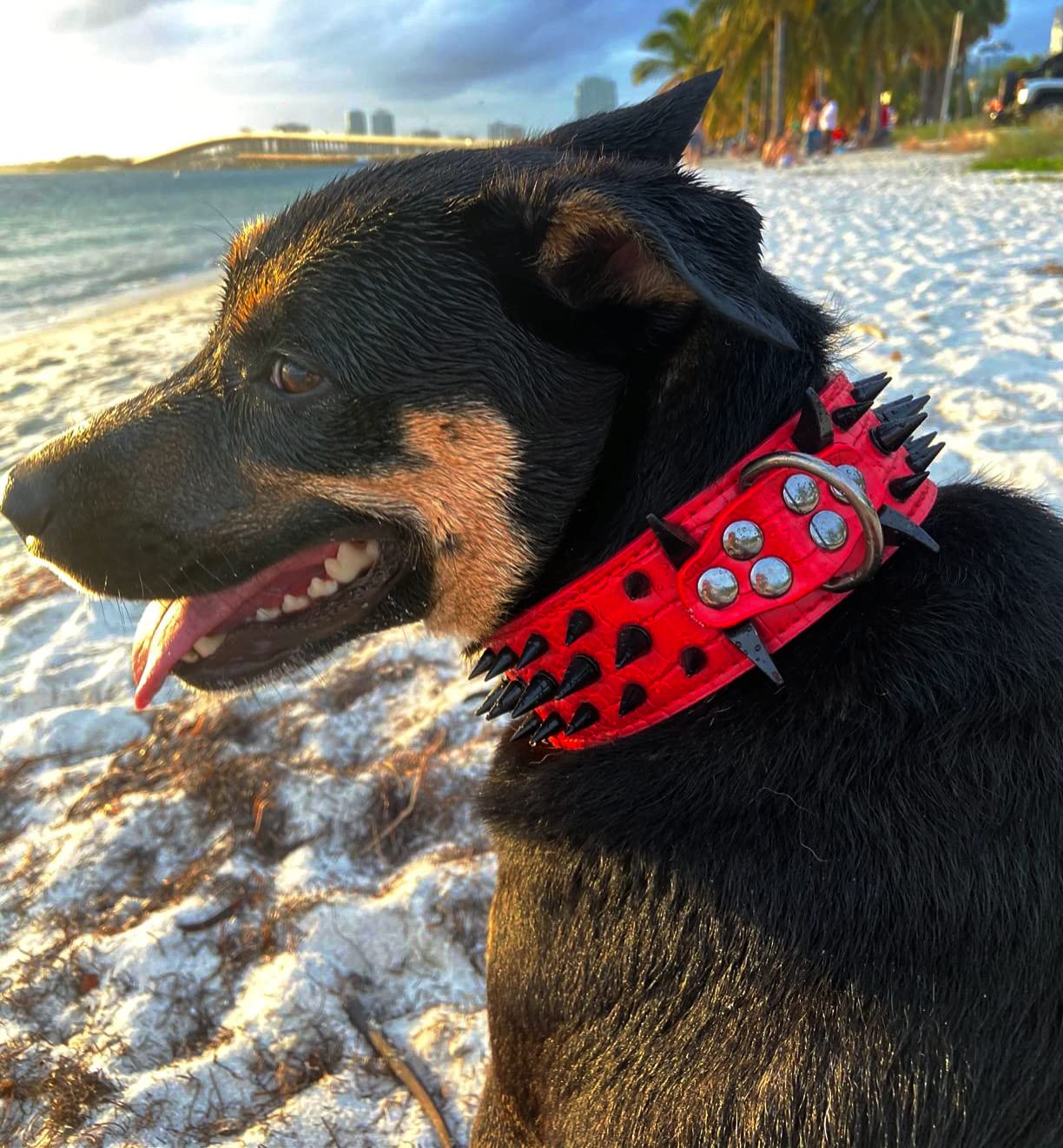 Kawagogo Spiked Studded Dog Collar With Large Sharp Spikes,2 Inch Wide Red Leather Dog Collar,Anti-Bite,Fit Large Medium Dogs,Pi