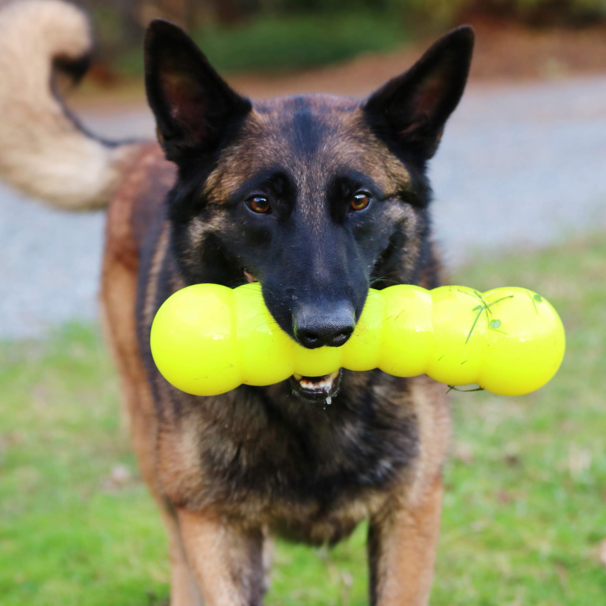 Ruff Dawg Indestructible Dawg-Buster Xl-P