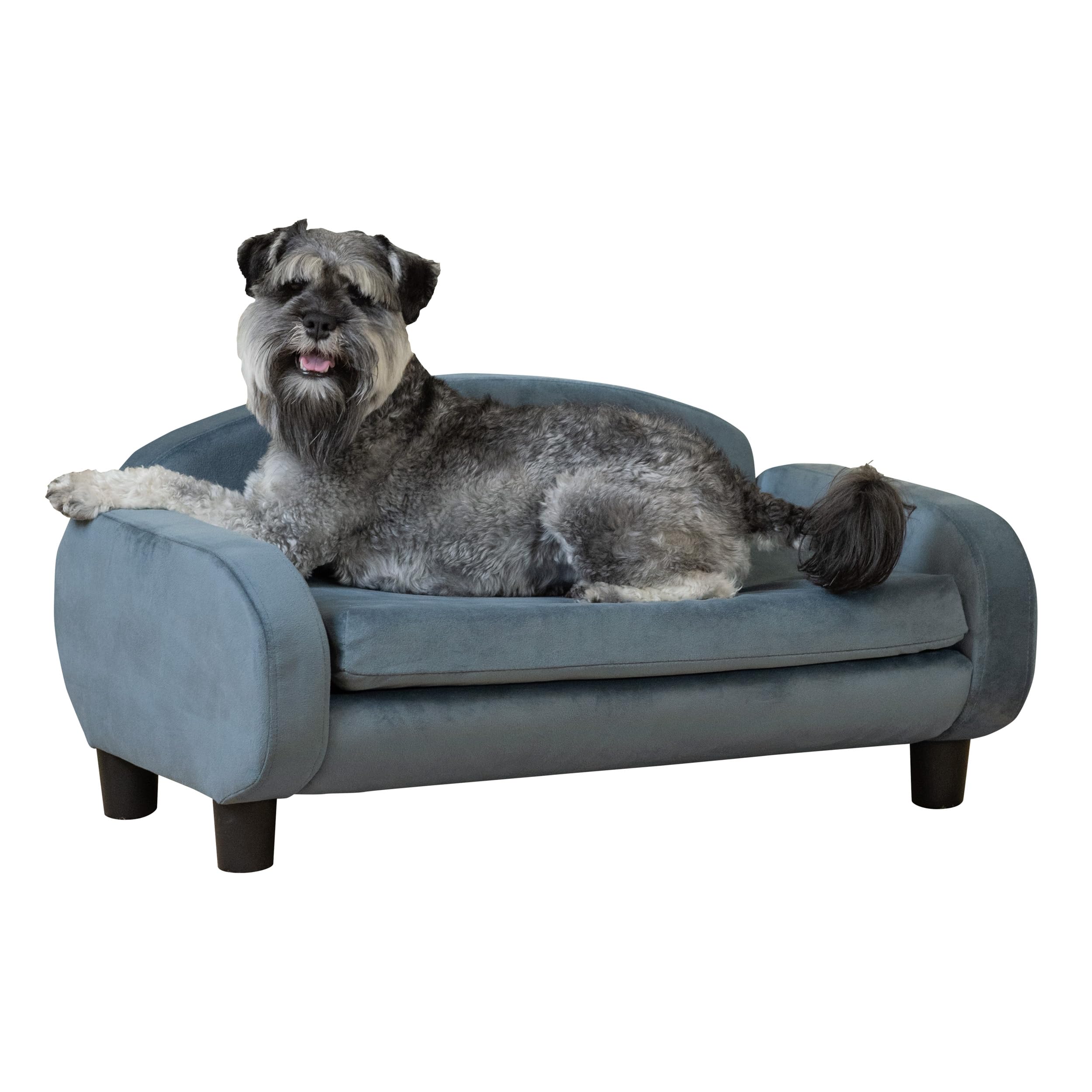 Paws & Purrs Modern Pet Sofa 31.5 Wide Low Back Lounging Bed with Removable Mattress Cover in Espresso/Cornflower