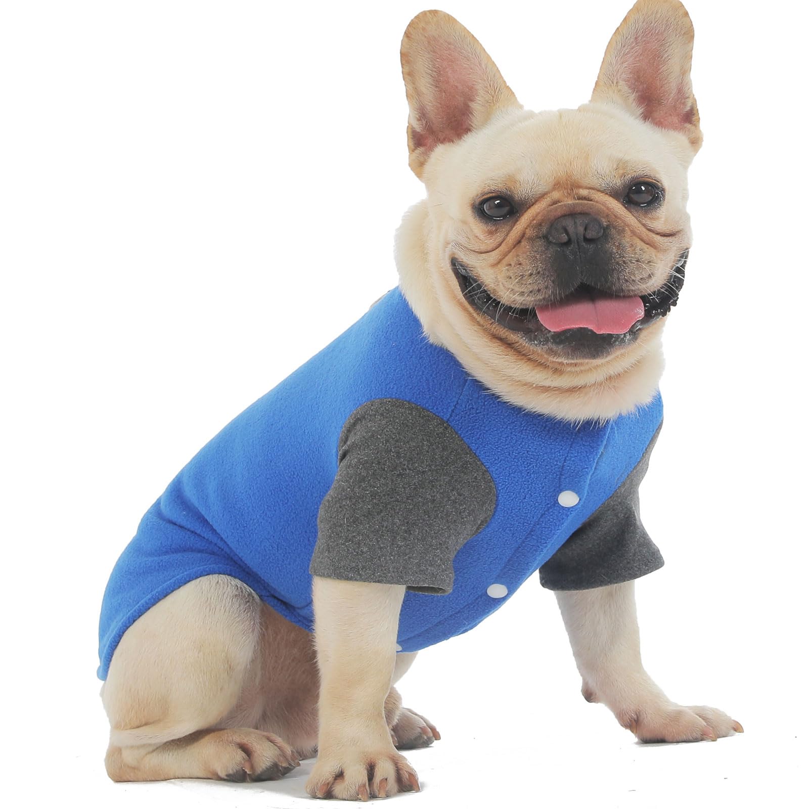 Fabricastle Dog Sweater, Medium, Indigo For Small Dogs, Winter Coat With O-Ring Leash, Polyester Sweatshirt Cat Apparel Accessor