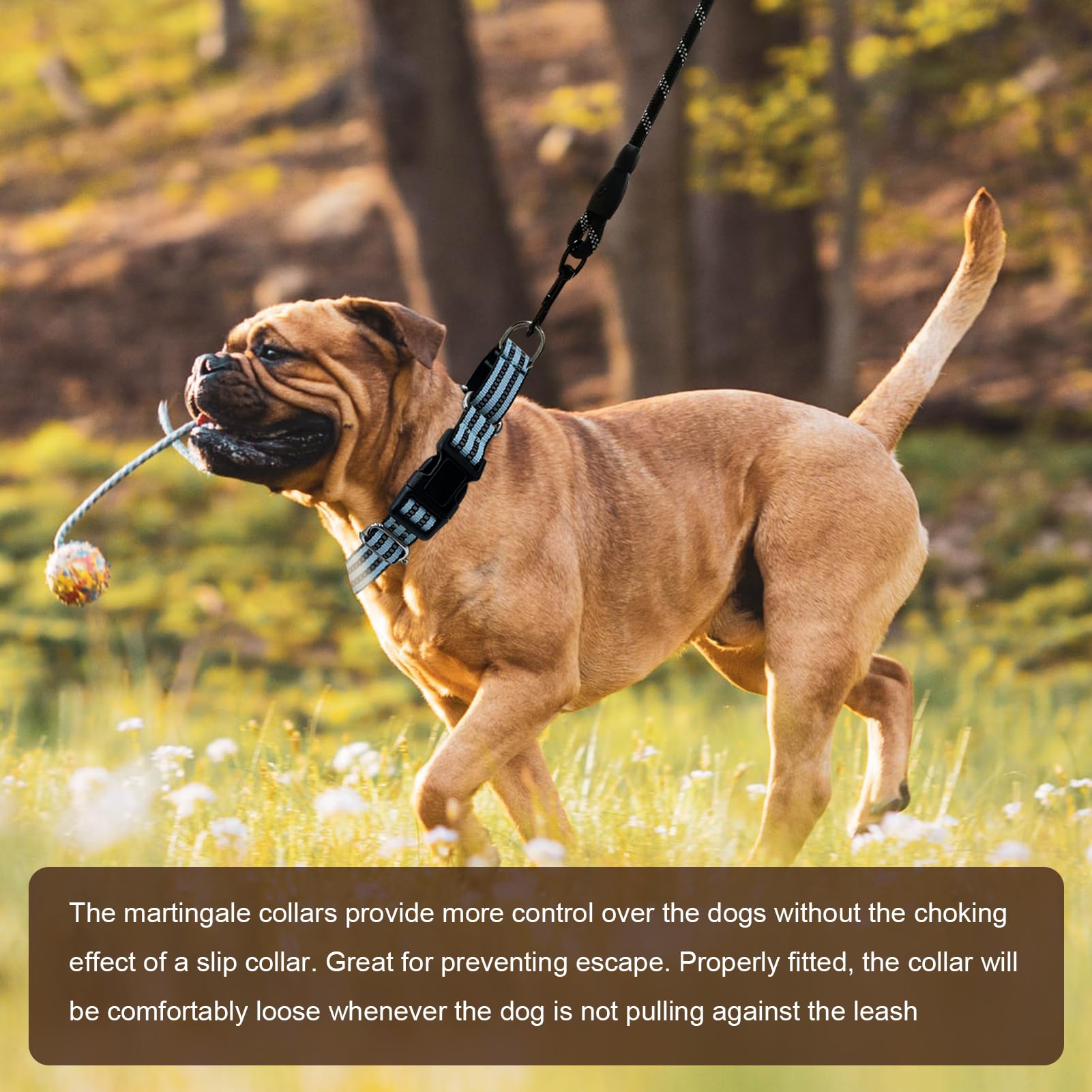 Martingale Dog Collars - Reflective Dog Collar With Quick Release Buckle Adjustable Nylon Training Dog Collar Suitable For Puppi