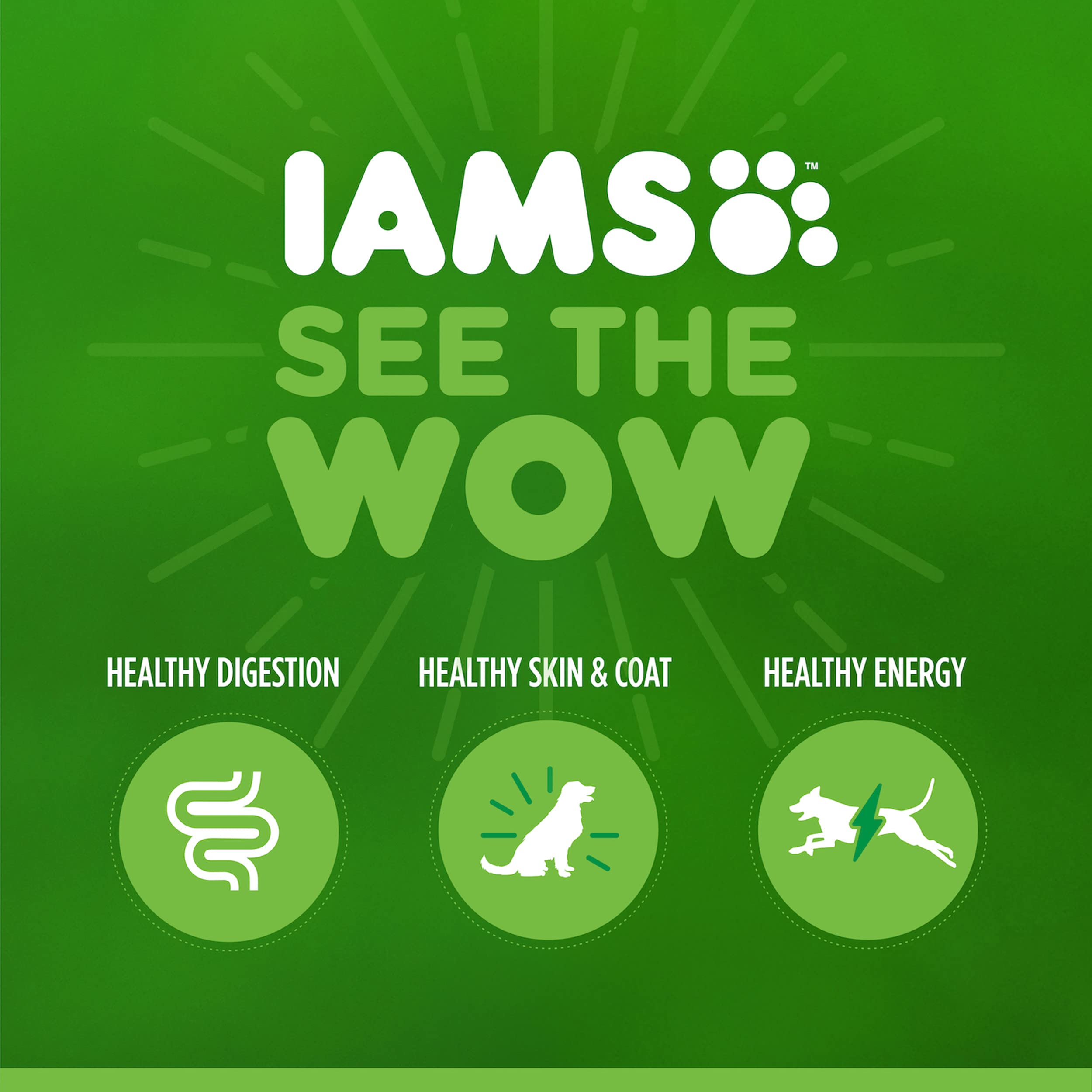 IAMS Proactive Health Large Breed Adult Dry Dog Food Lamb & Rice Recipe, 30 lb. Bag