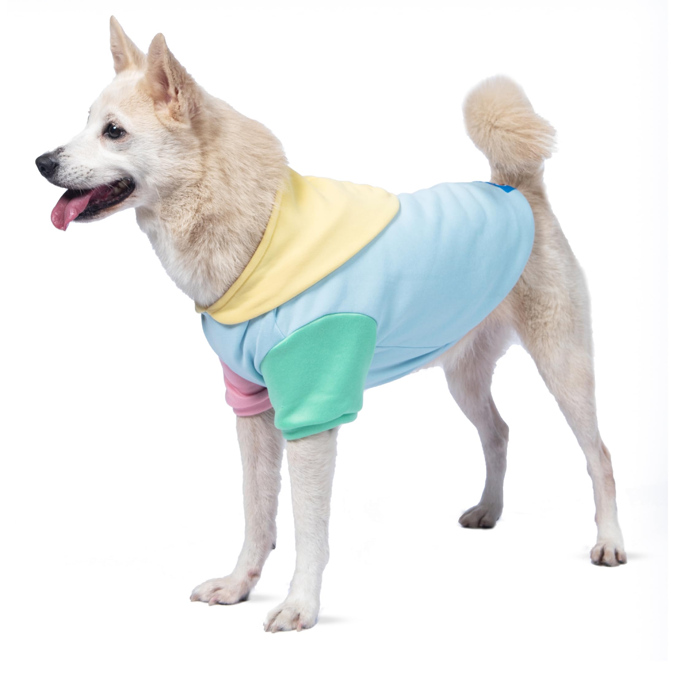 The Dodo Pastel Colorblock Dog Hoodie, Size Medium; Everyday Apparel for Dogs, Cute Dog Sweatshirt