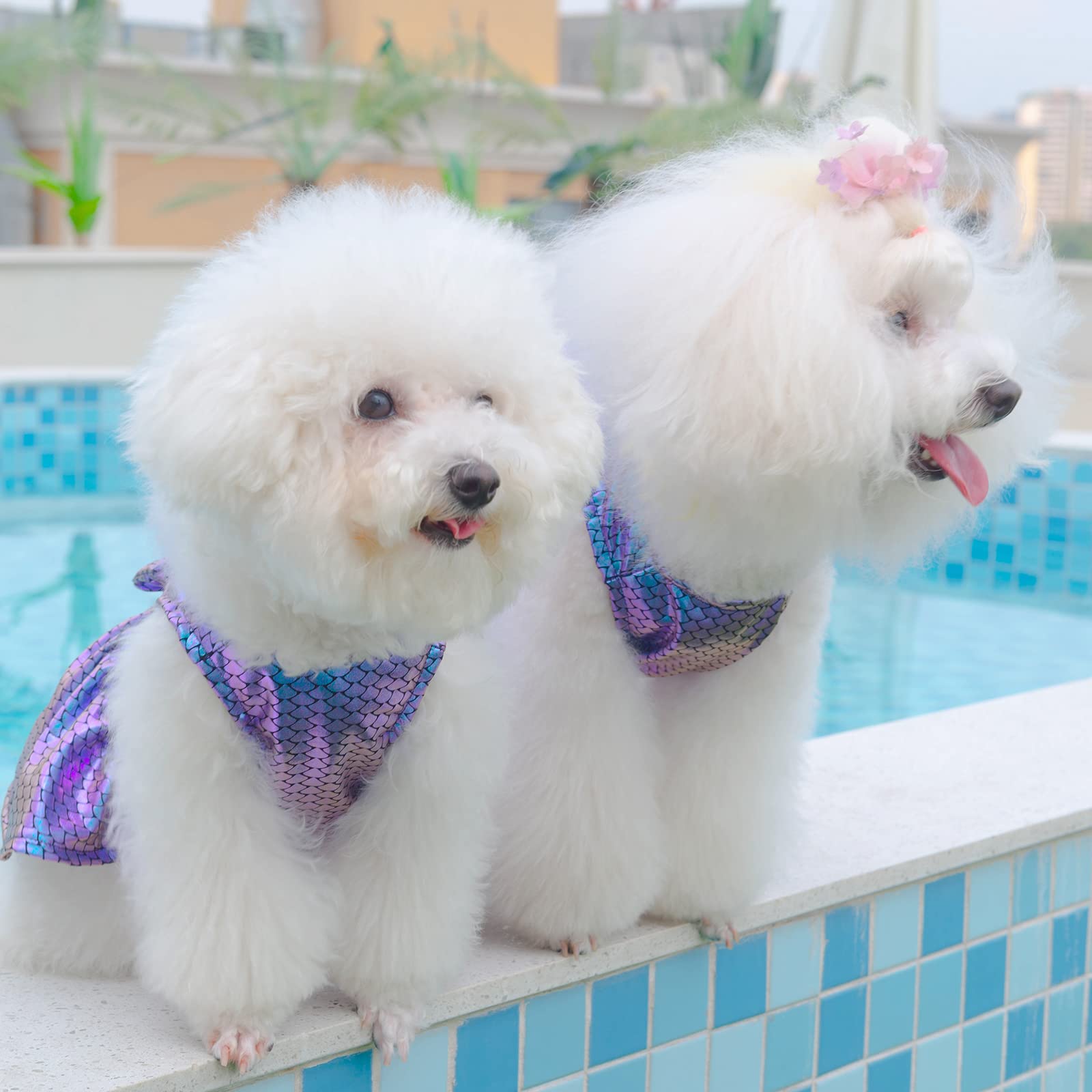 Cutebone Dog Dresses Bling Mermaid Summer Puppy Clothes For Small Dogs Girl Sequins Skirt Dd10Xs