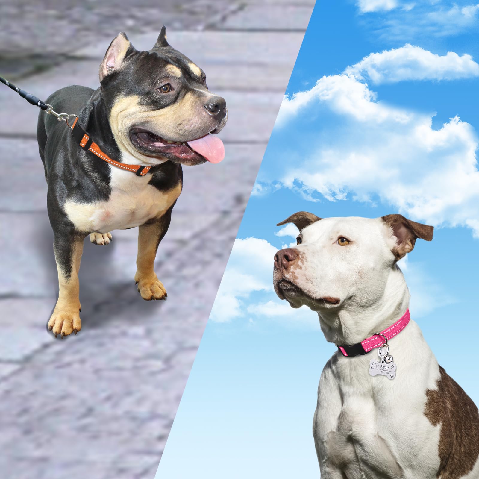 Paipaitek Replacement Training Shock Collar Compatible With E Collar Strap, 3/4 Inch Adjustable Reflective Dog Collar With Metal