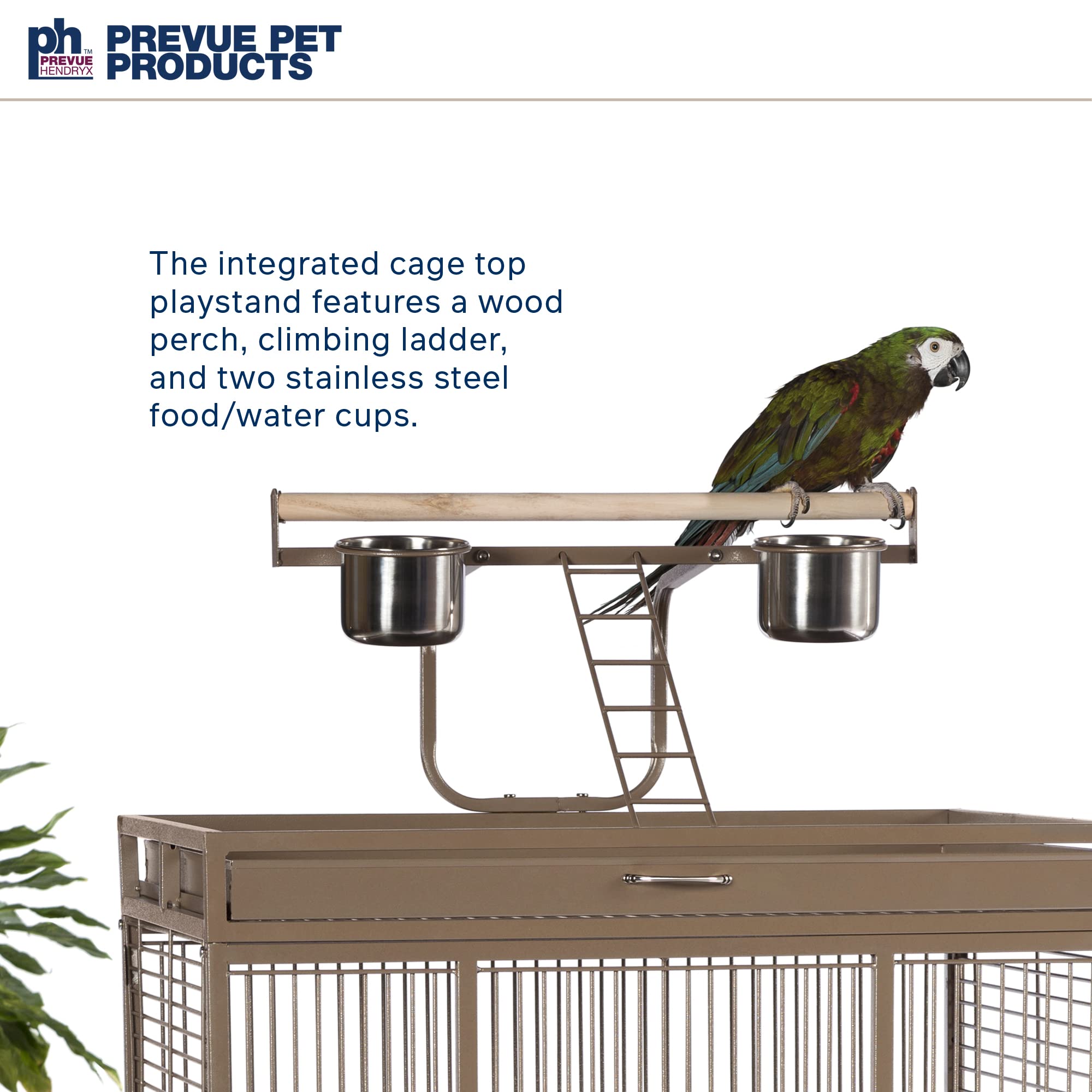 Prevue Hendryx Pet Products Wrought Iron Select Bird Cage 3153Coco, Coco Brown, 30-Inch By 22-Inch By 63-Inch