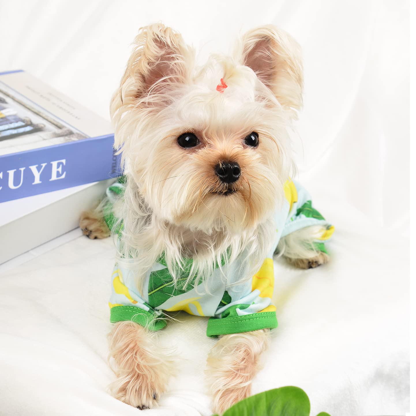 Dog Pajamas For Small Dogs, Chihuahua Pajamas, Puppy Clothes, Extra Small Puppy Pjs, Soft Pet Pajamas,Dog Shirts Chihuahua Yorki