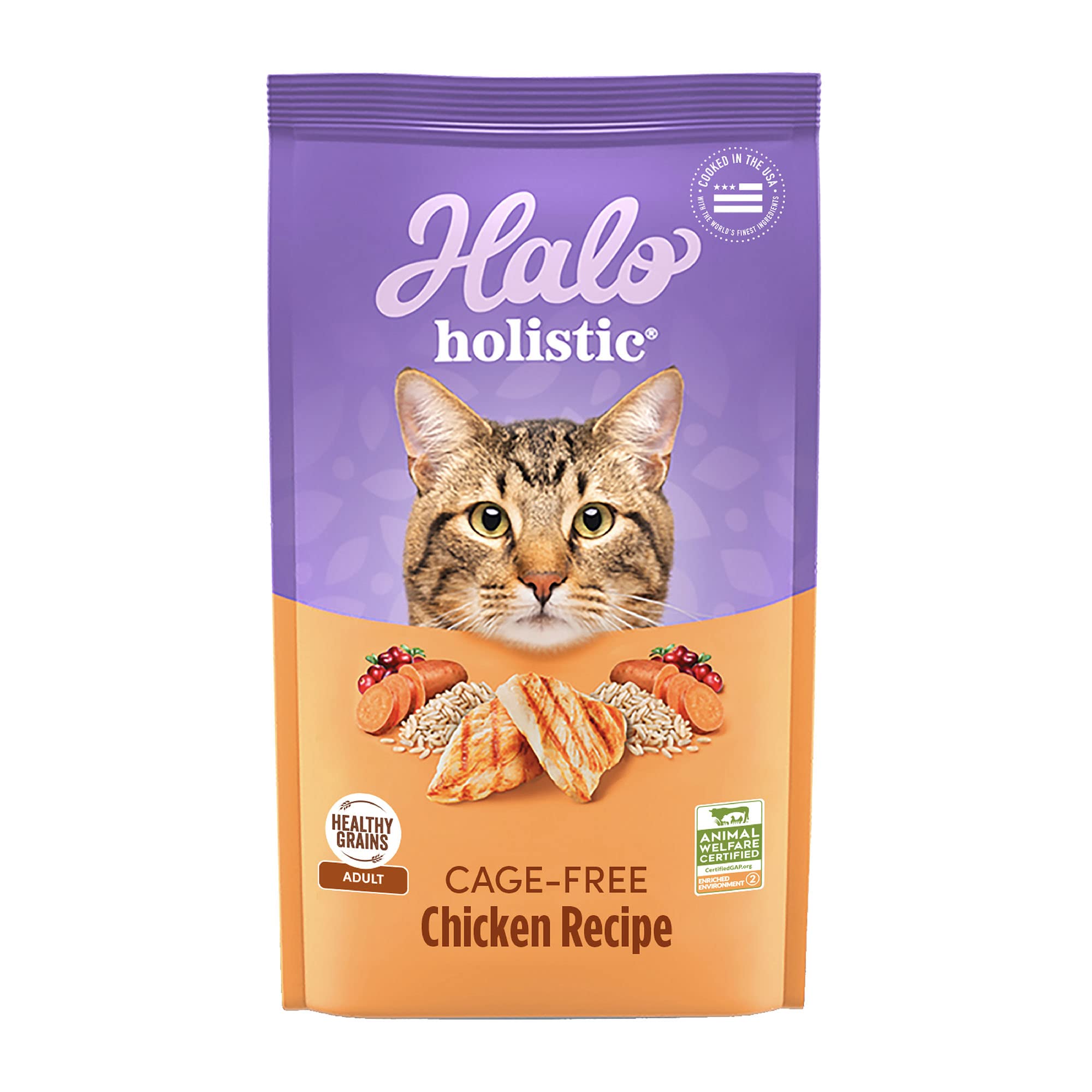 Halo Holistic Cage Free Chicken Cat Food, Healthy Grains Dry Cat Food, Complete Digestive Health, Kibble for Adult Cats, 10 lb B