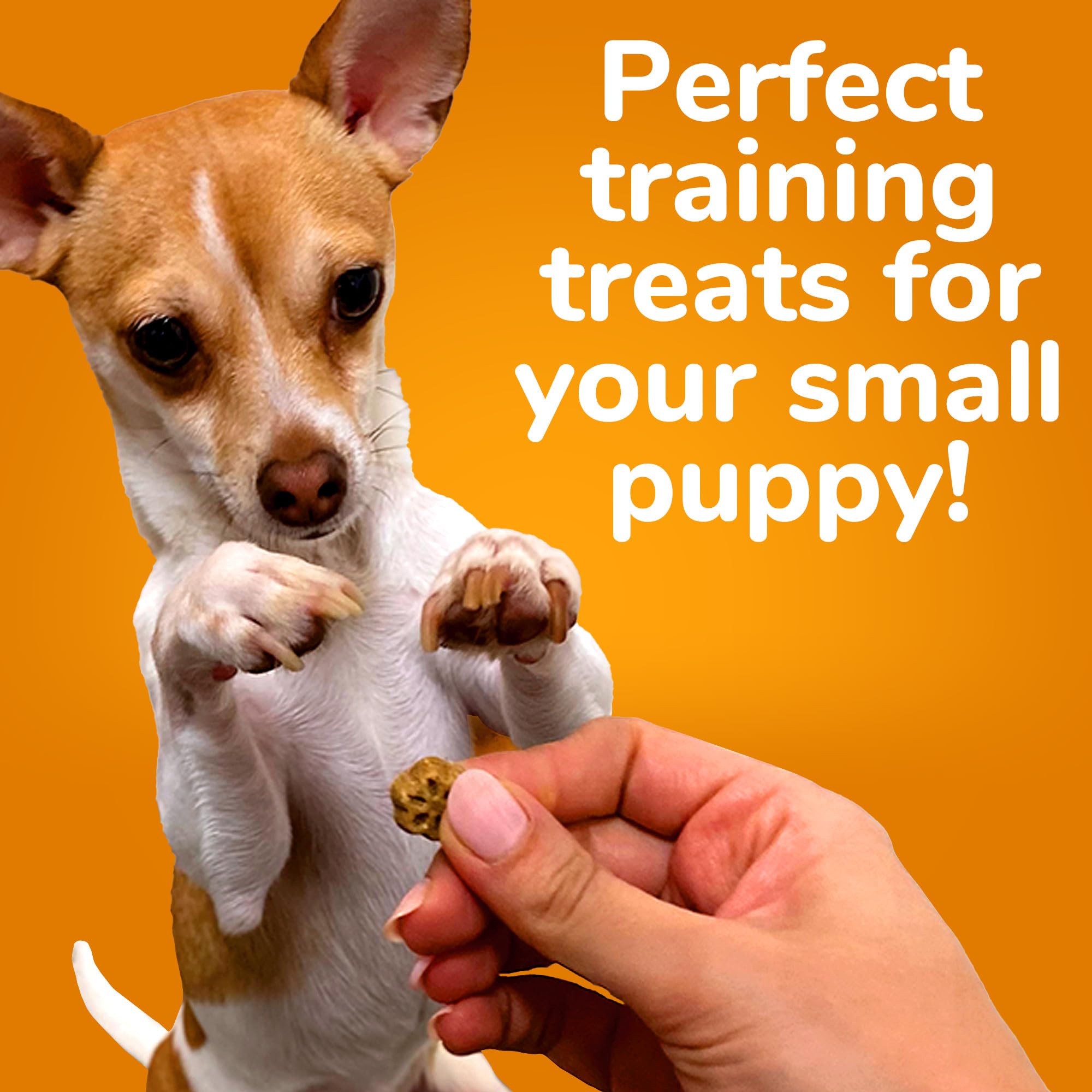 Fruitables Skinny Mini Dog Treats - Healthy Treats for Dogs - Low Calorie Training Treats - Free of Wheat, Corn and Soy - Grille