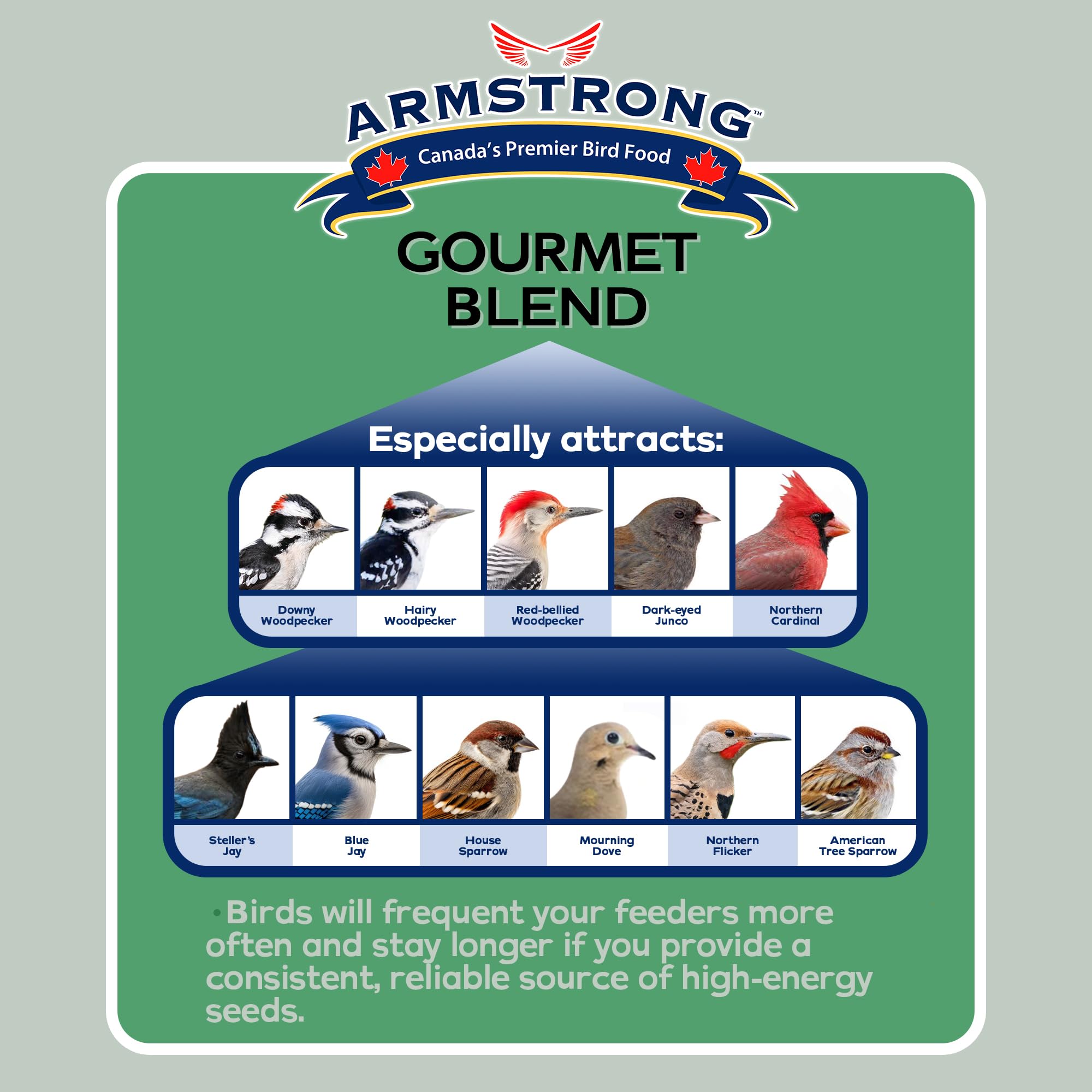 Armstrong Bird Food Gourmet Blend, 33 Pounds - with White & Red Millet, Cut Corn, Wheat, Black Oil Sunflower, Striped Sunflower,