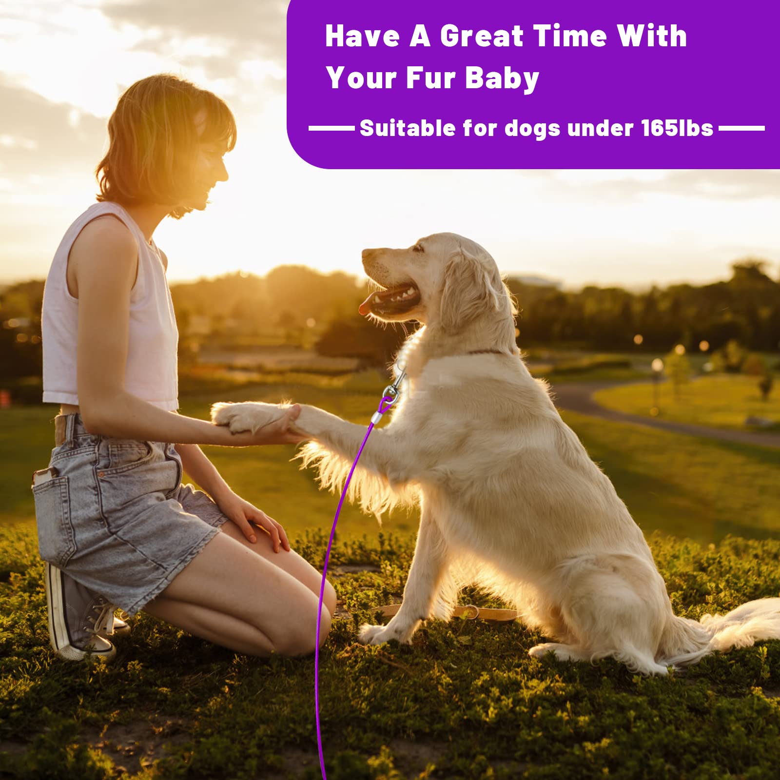 HaiYUAN Dog Tie Out Cable 10/15/20/25/30 FT Runner for Yard Steel Wire Cable with Durable Superior Clips Purple Chains for Outside Dog Lead for Large Up to 165 Lbs -Like New