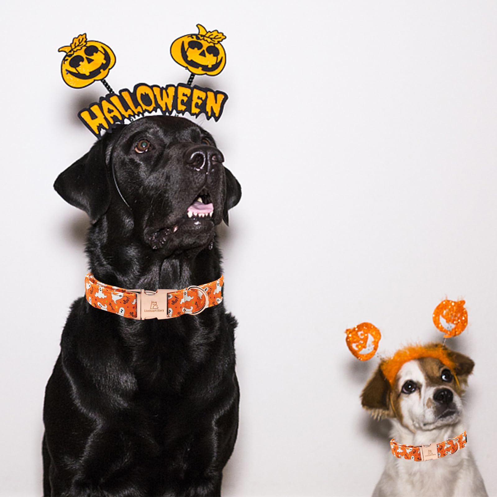 Lionheart Glory Halloween Dog Collars, Fall Dog Collar Heavy Duty Adjustable Dog Collar For Large Collar Dog Female Or Male Dog