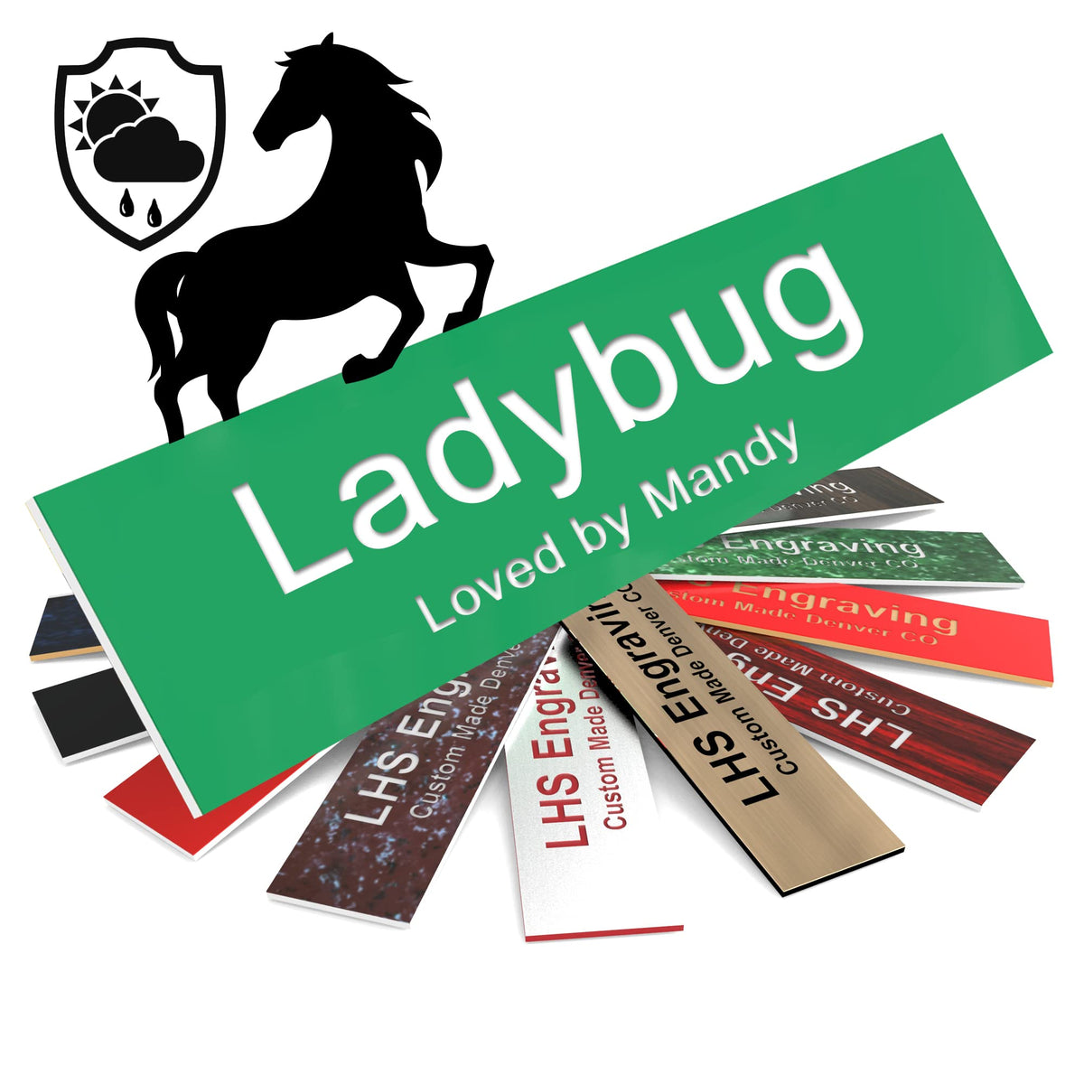 Lhs | Horse Stall Name Plate, 2X12 Personalized Stall Signs, Uv Protected, All Weather Adhesive, Hanging, Mounting Or Other, Gre