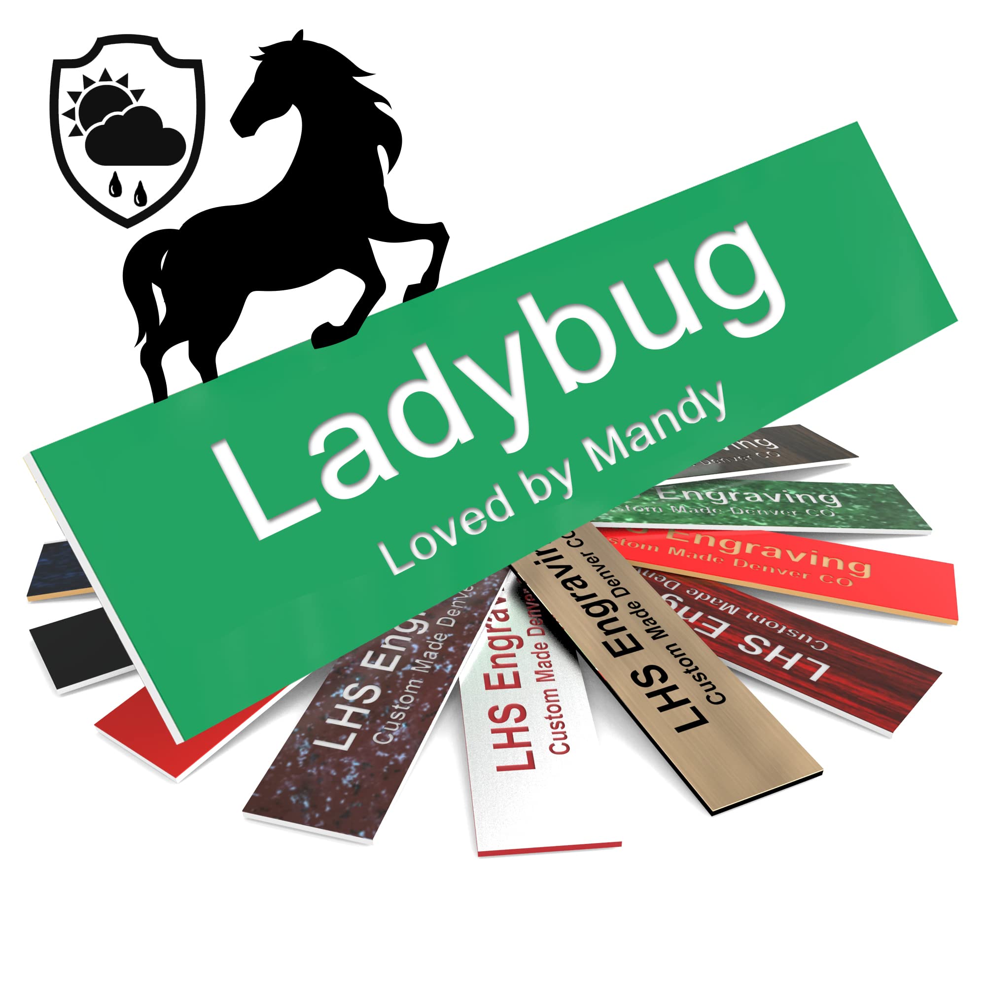 Lhs | Horse Stall Name Plate, 2X8 Personalized Stall Signs, Uv Protected, All Weather Adhesive, Hanging, Mounting Or Other, Gree