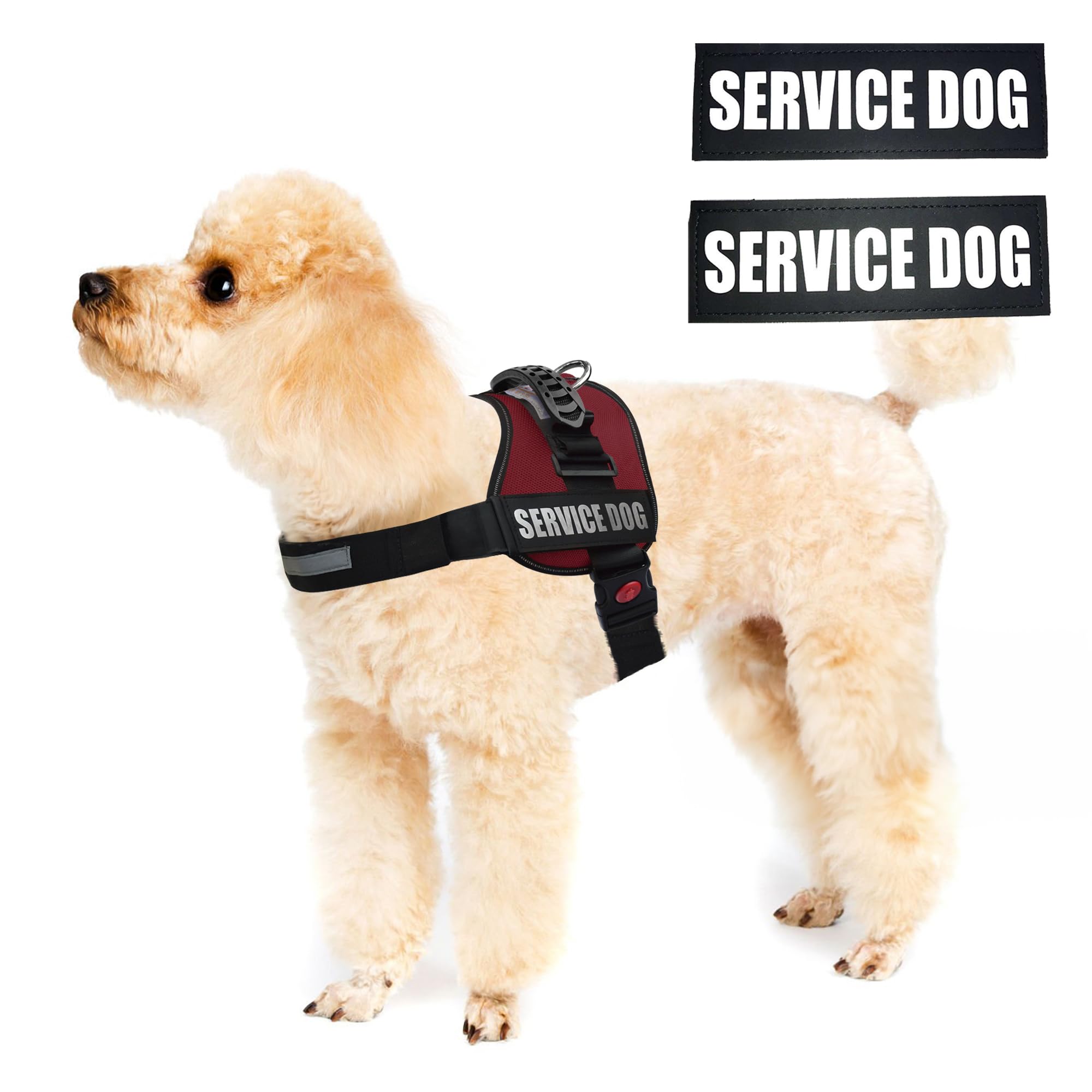 Albcorp Service Dog Vest Harness - Reflective - Woven Polyester And Nylon, Comfy Mesh Padding - Sizes From Xxs To Xl - Service Dog Patches Included. Maroon, Small