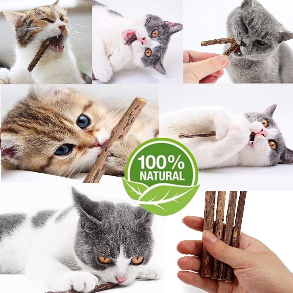 Wolover 20 Pcs Cat Catnip Sticks Natural Matatabi Silvervine Sticks - Cleaning Teeth Molar Tools Kitten Chew Toy Natural Catnip
