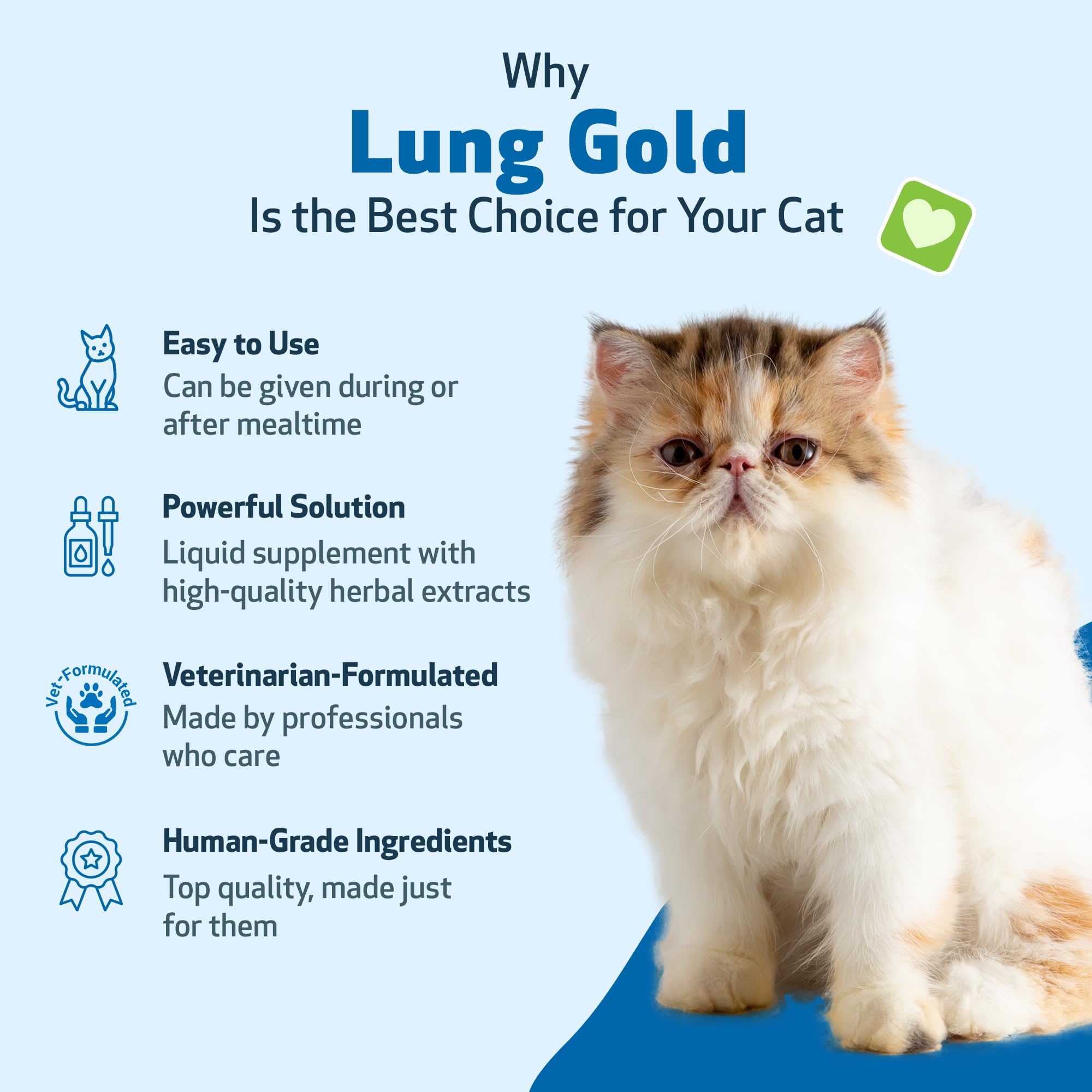 Pet Wellbeing Lung Gold for Cats - Lung Immune Support, Lower Respiratory Health, Open Airways, Normal Breathing, Reishi, Coptis