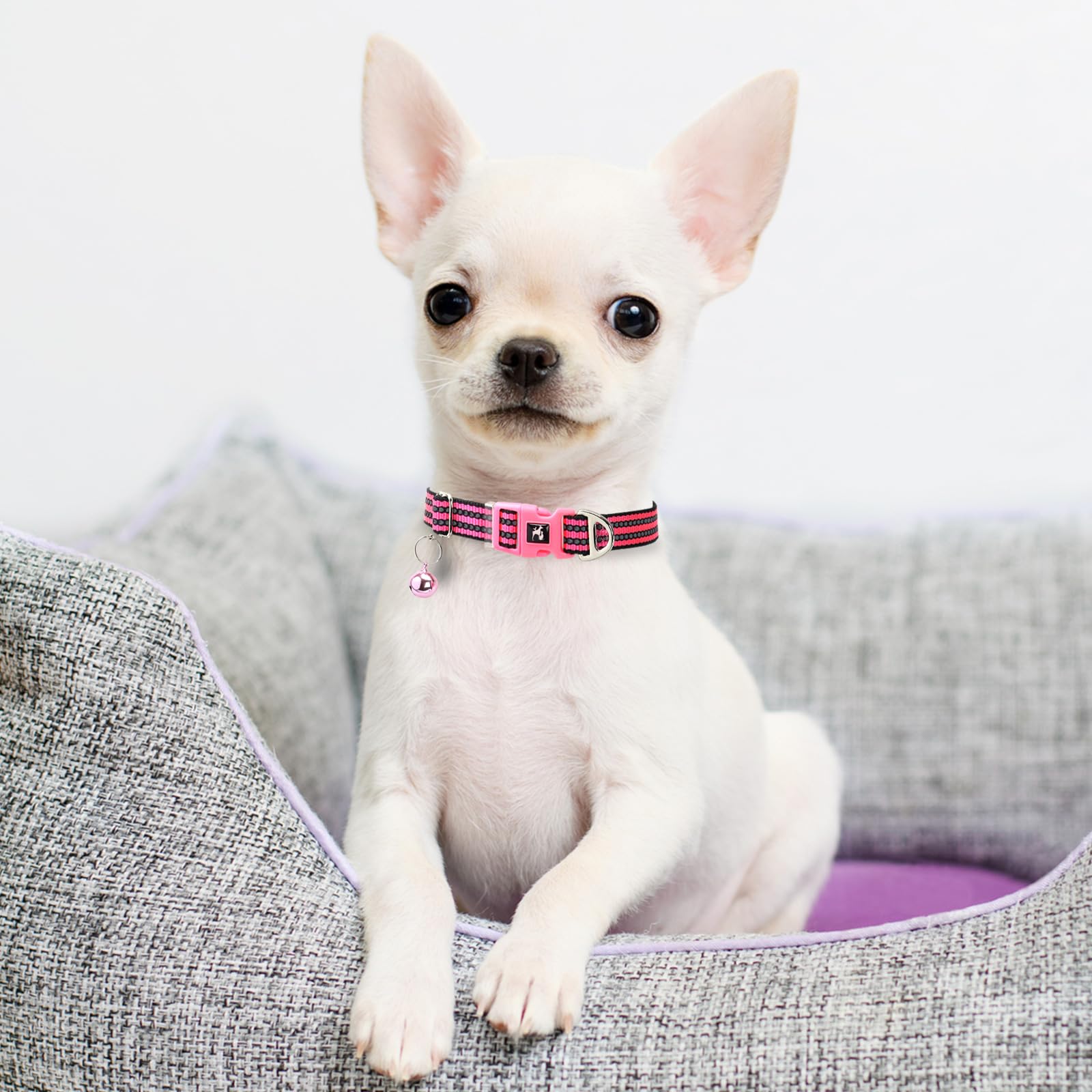 Onefojojo Small Dog Collar With Bell Reflective - Adjustable Tiny Xs Xxs Breed Collar For Girl Female,Night Walk Safety Accessor