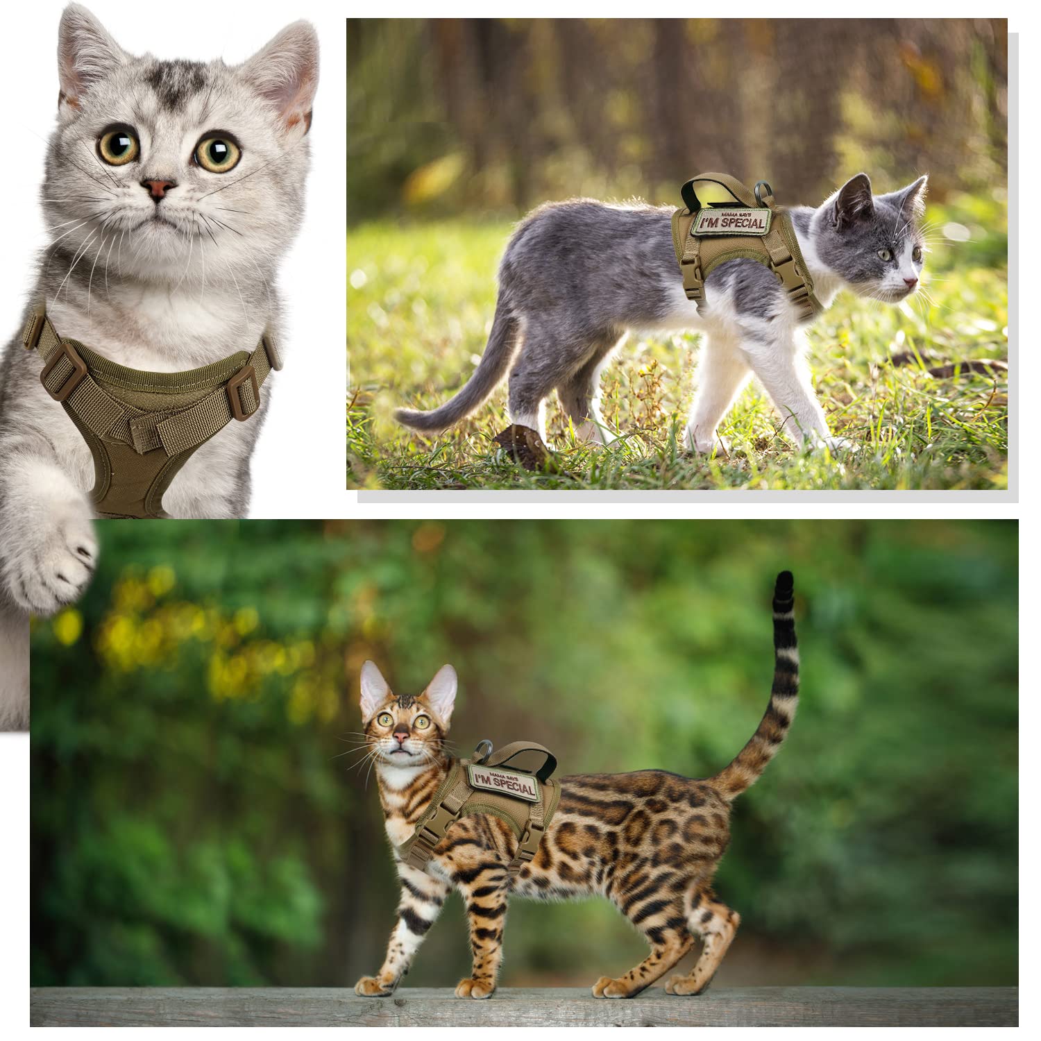 Tactical Cat Harness For Walking Escape Proof, Soft Mesh Adjustable Pet Vest Harness For Large Cat,Small Dog (Medium, Black)