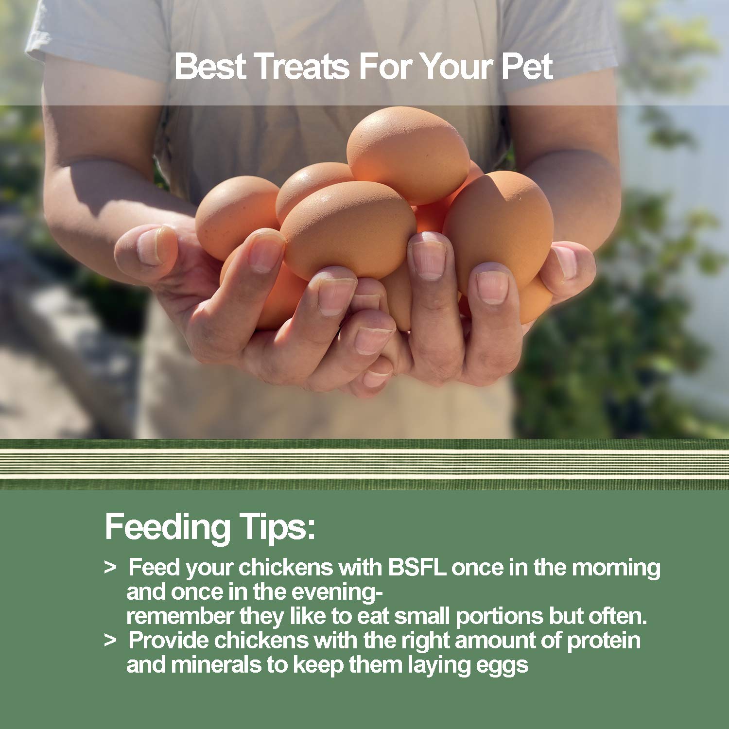 LIWII 10LB Dried Black Soldier Fly Larvae, 86X Calcium Than Dried Mealworms, High Protein Non-GMO Organic Chicken Feed