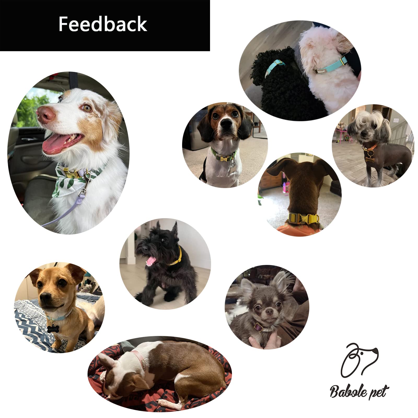 Babole Nylon Dog Collars Pink For Small Puppy Dog,13 Colors,Adjustable Soft Comfortable Pet Collars With Safety Metal Buckle For Medium Large Boy&Girl&Female Dog(S)