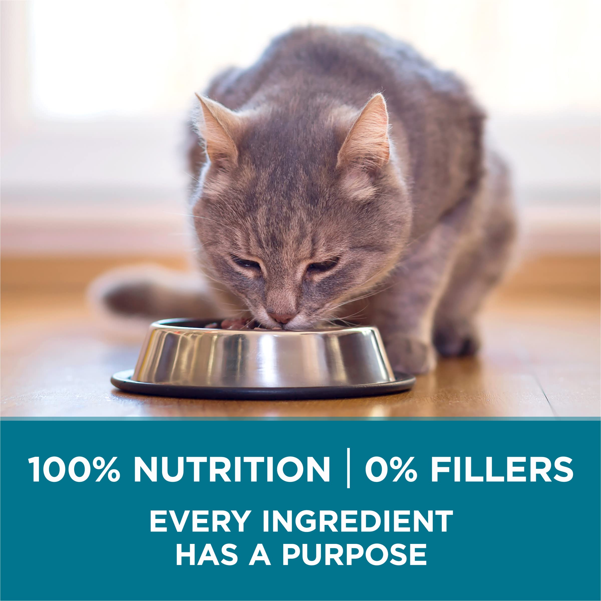 Purina ONE Natural Dry Cat Food, Tender Selects Blend With Real Chicken - 16 lb. Bag