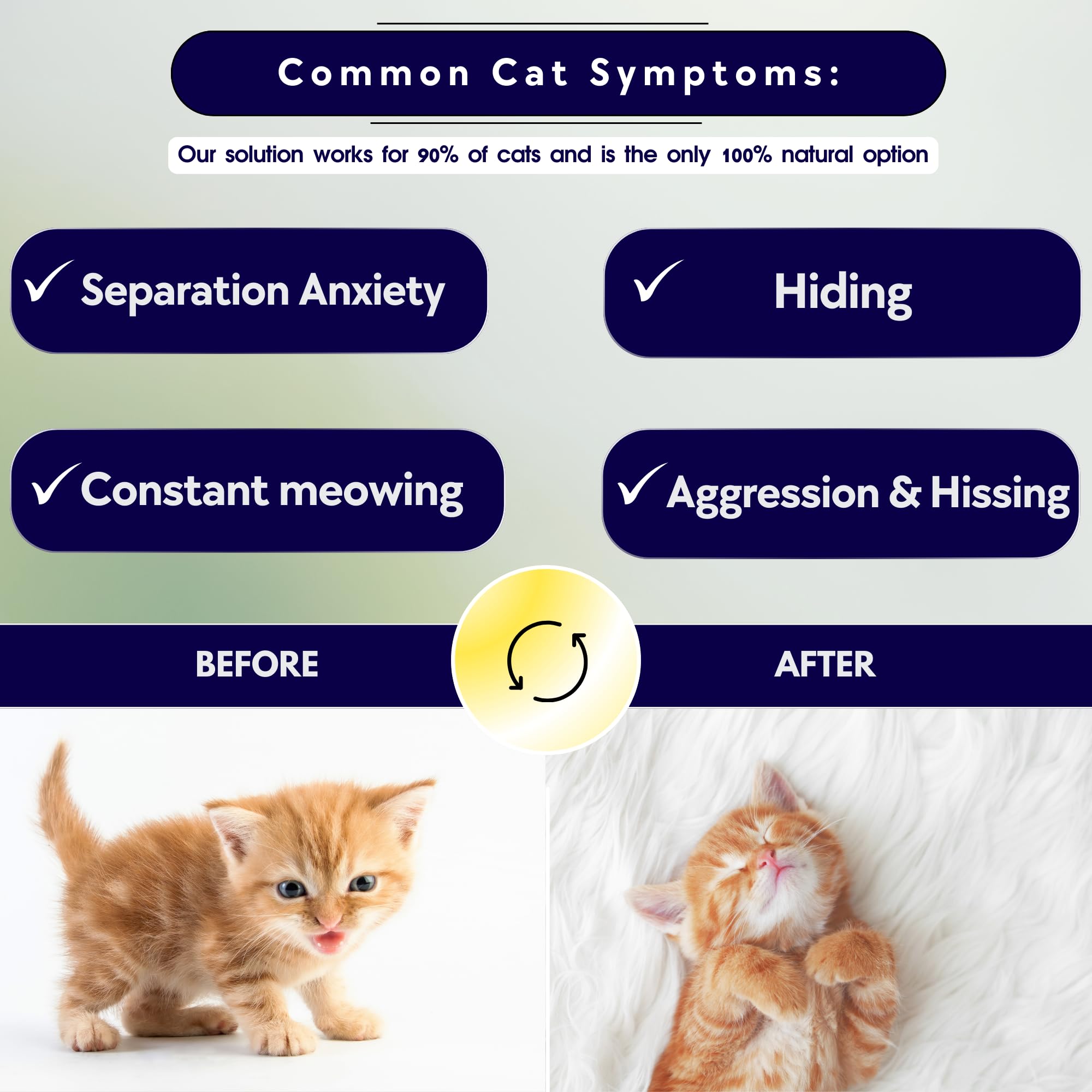 Kitten Calming Collar With 100% Natural Oil, Cat Stress And Anxiety Relief, Kitten Calming Products, Breakaway, Vet-Approved (Pu