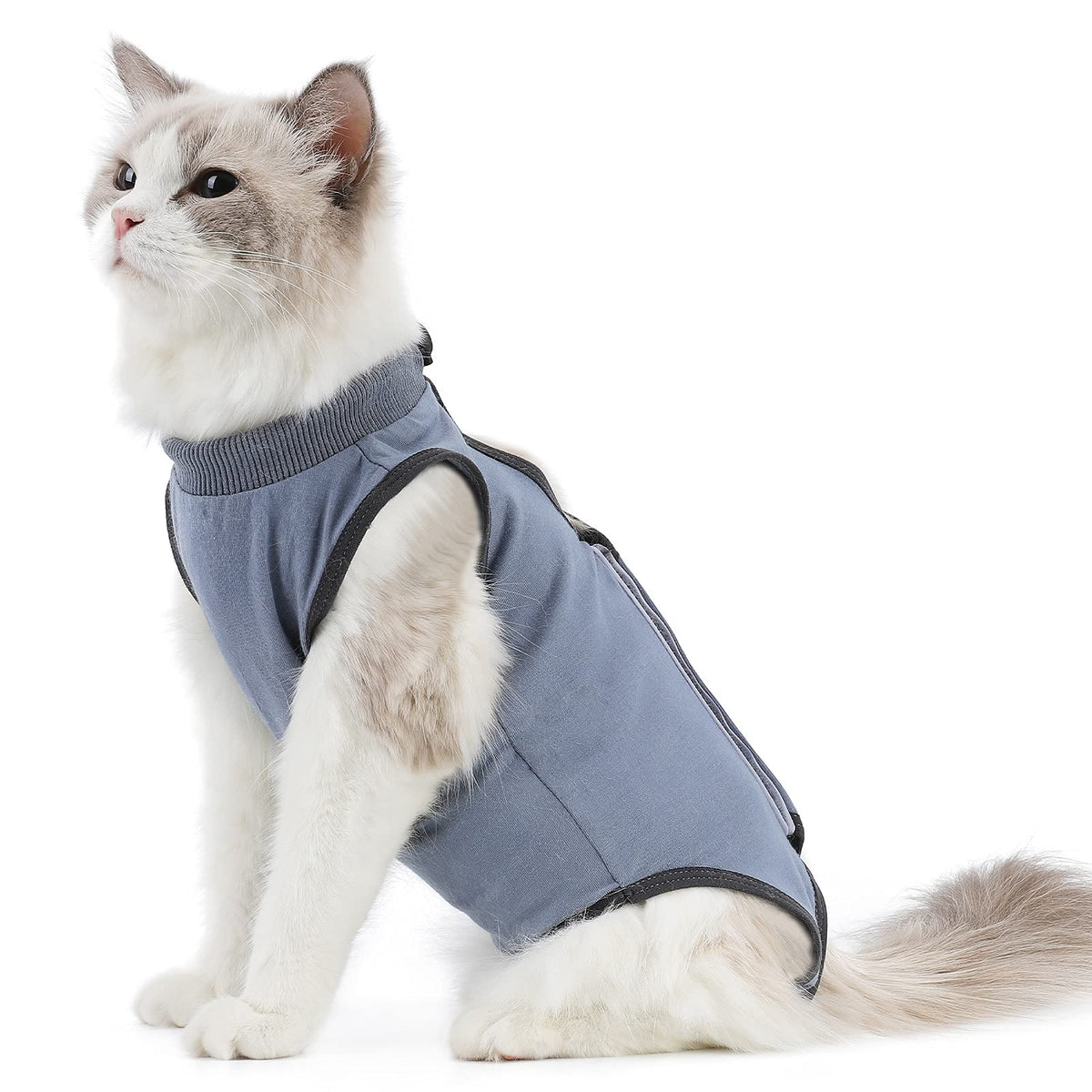 Kzrfojy Cat Surgery Recovery Suit Cat Onesie For Cats After Surgery Spay Surgical Abdominal Wound Skin Diseases E-Collar Alterna