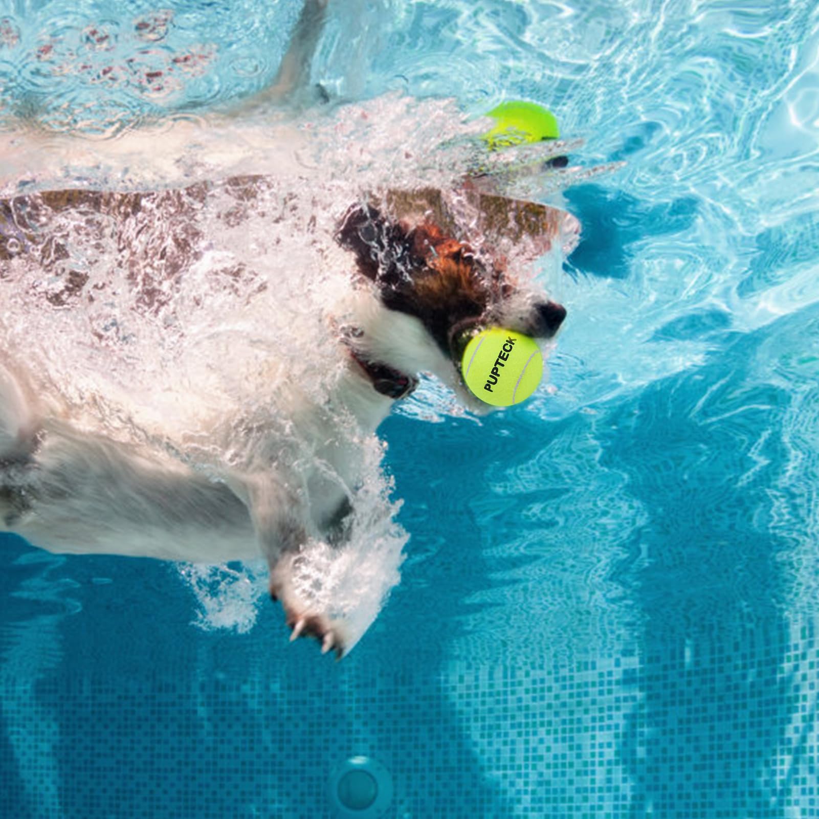 Pupteck Squeaky Tennis Balls For Dogs, 2.5' Training Bouncy Ball Toys 12 Packs For Dogs Playing, Exercise And Fetch