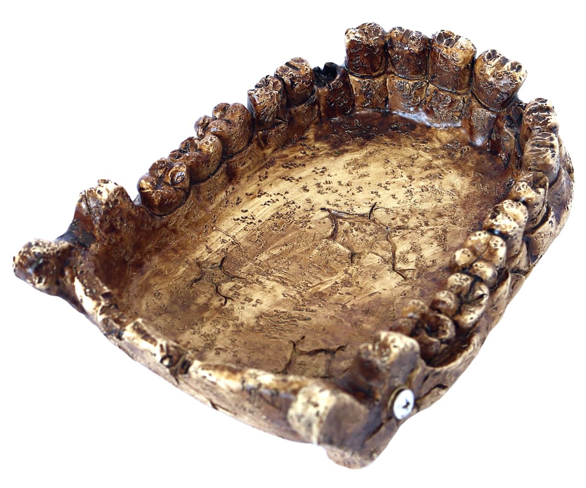 Reptile Feeding Dish Bowl,Reptile Rock Food/Water Dish for Reptiles,Amphibians,Bearded Dragon,Lizard,Frog,Gecko,Tortoise,Hermit 