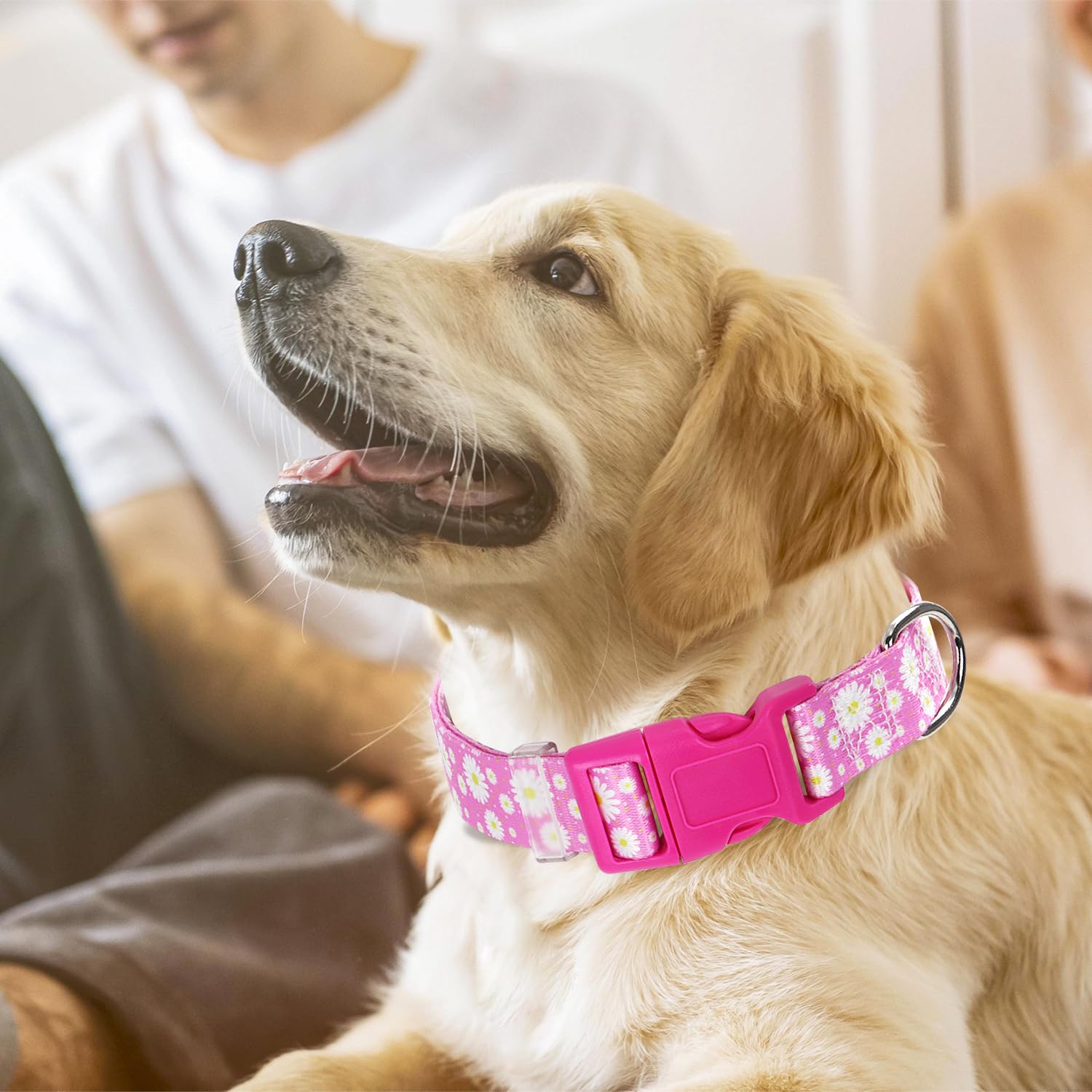 Pink Dog Collars For Medium Dogs, Cute Girl Dog Collar With Daisy Flowers Pattern, Adjustable Heavy Duty Pet Collar With Safety