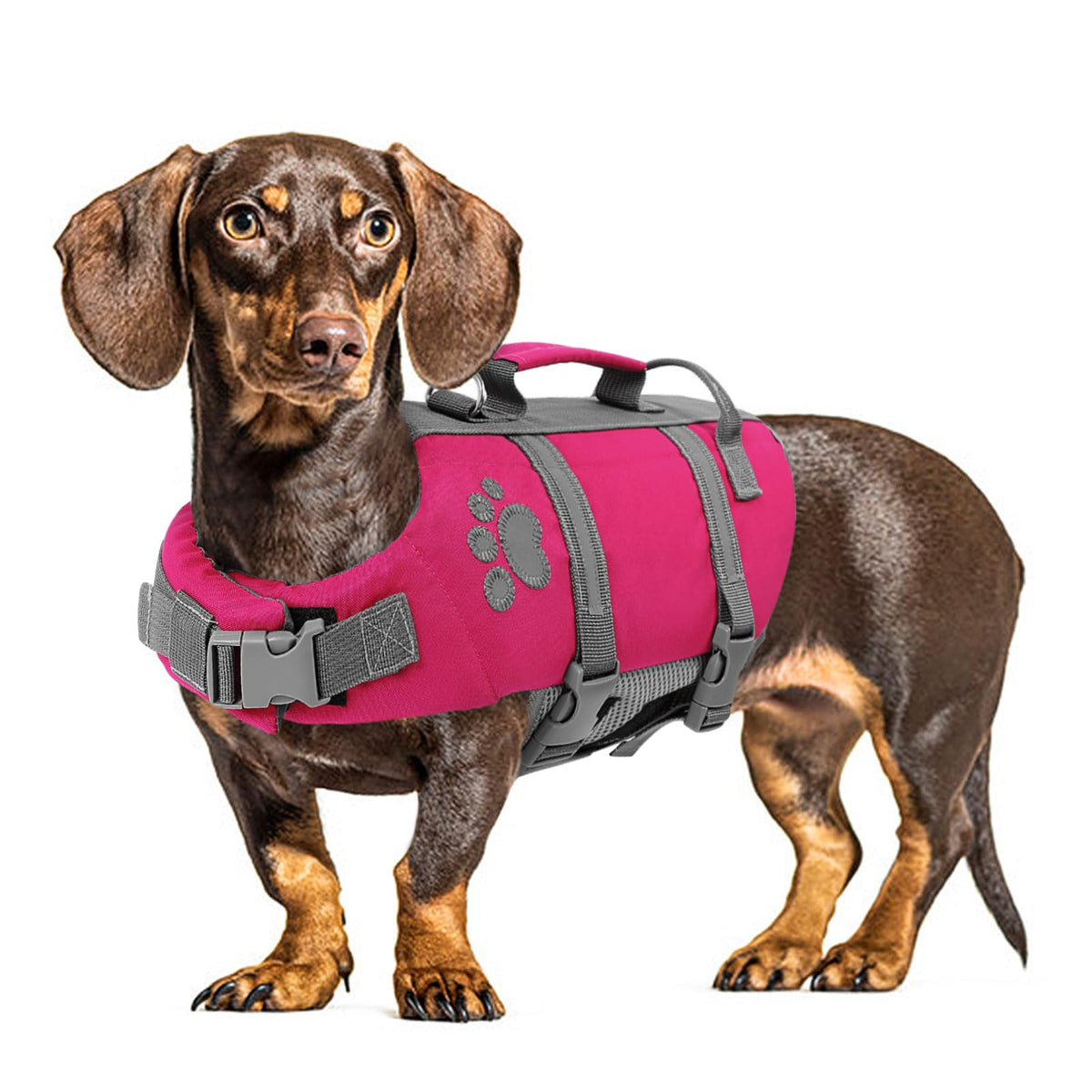Queenmore Small Dog Life Jacket, Ripston Puppy Life Vest, Small Dog Life Vest For Swimming, Safety Doggie Swimming Vest With Han