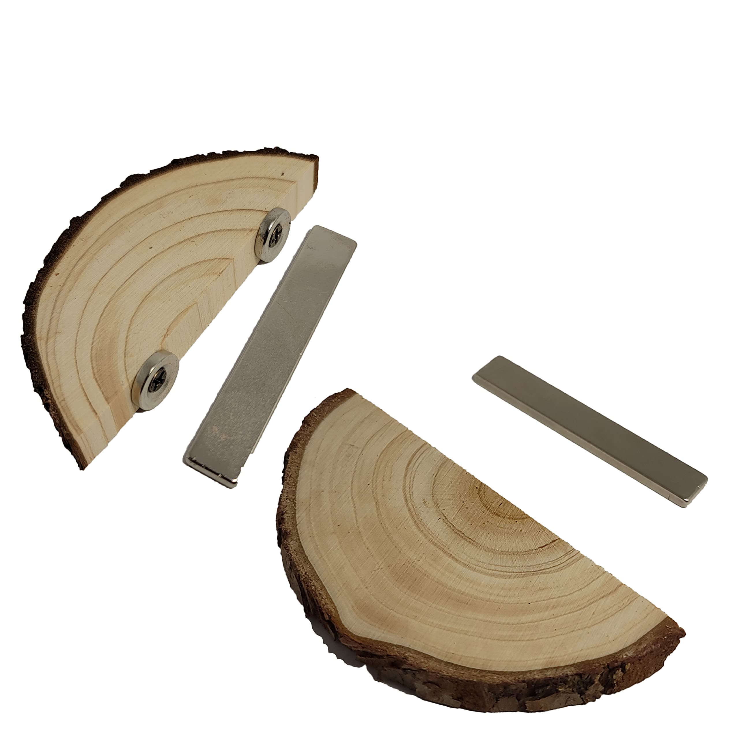 1 Pc. Magnetic Arboreal Ledge | Jumping Spider Ledge | The Critters Cave (Stronger But Longer: Larger External Magnets)