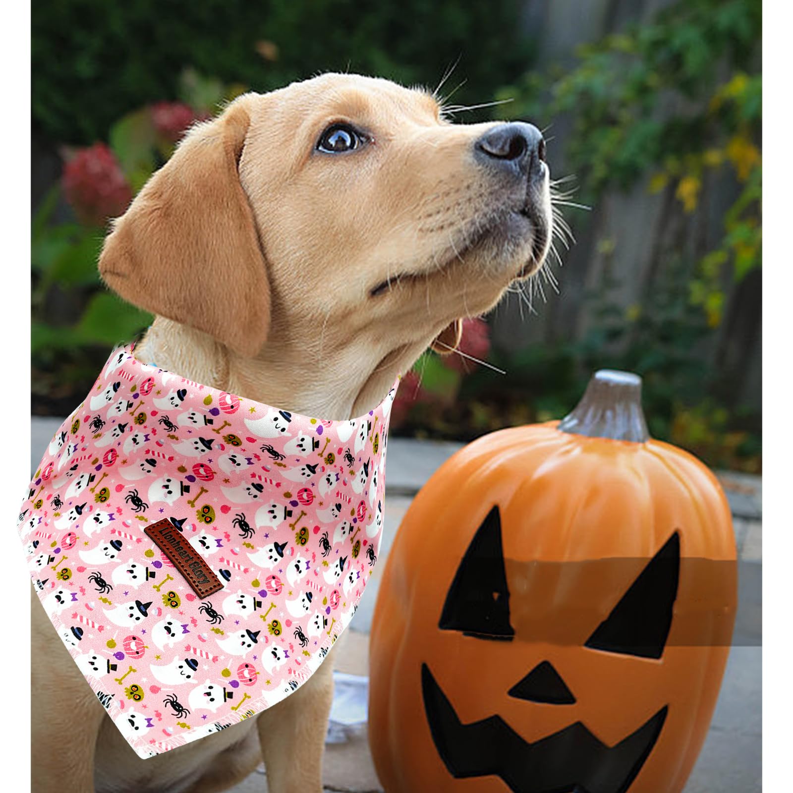 Lionheart Glory Fall Plaid Dog Scarf - Washable, Soft, Square, Adjustable Bandana For Medium To Large Dogs - Halloween Theme