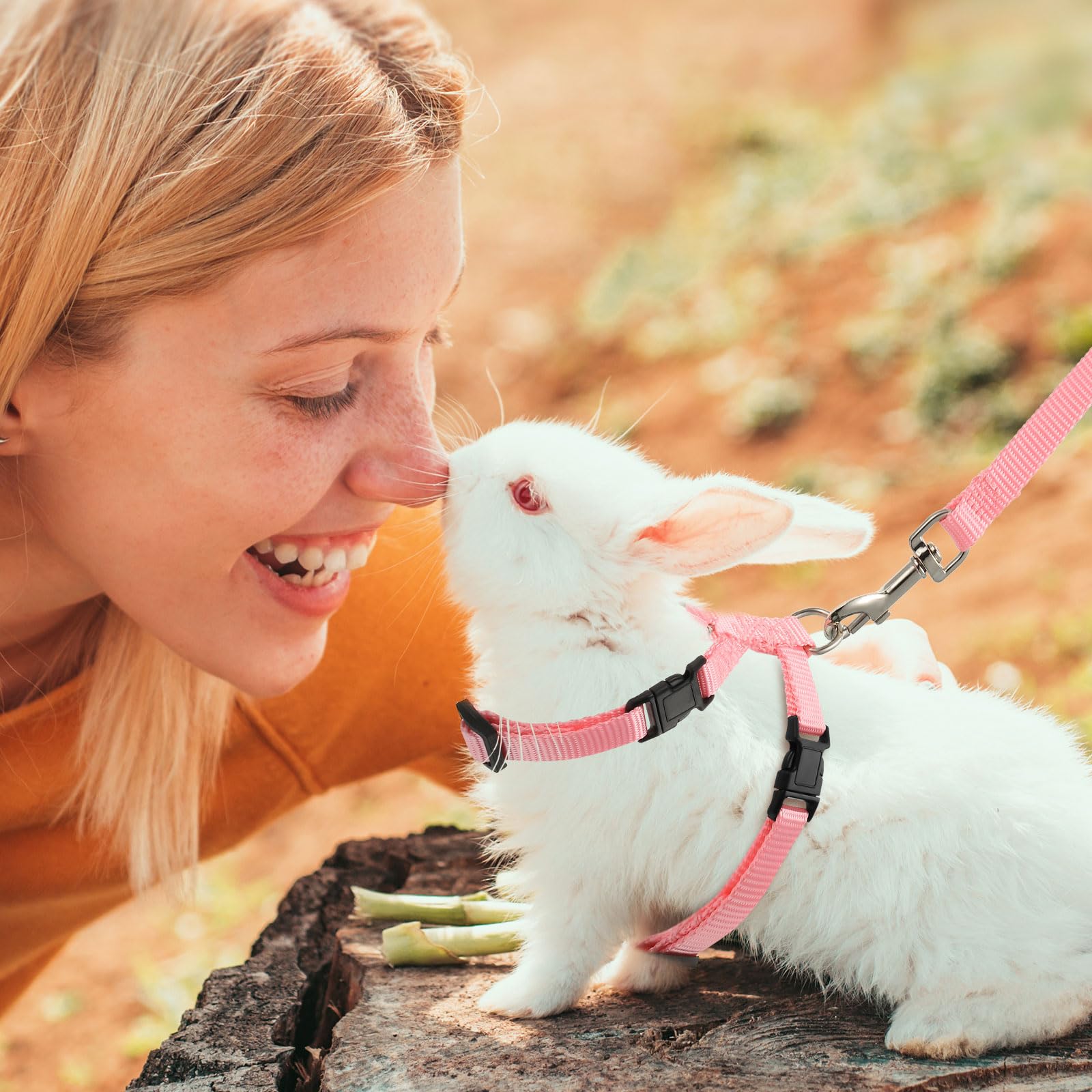Outus 5 Pieces Adjustable Rabbit Harness And Leash Set Escape Proof Bunny Harness Vest For Pet Running Walk Jogging Leash Harness For Bunny Cat Puppy Kitten Ferret And Other Small Pet(Fresh Color)