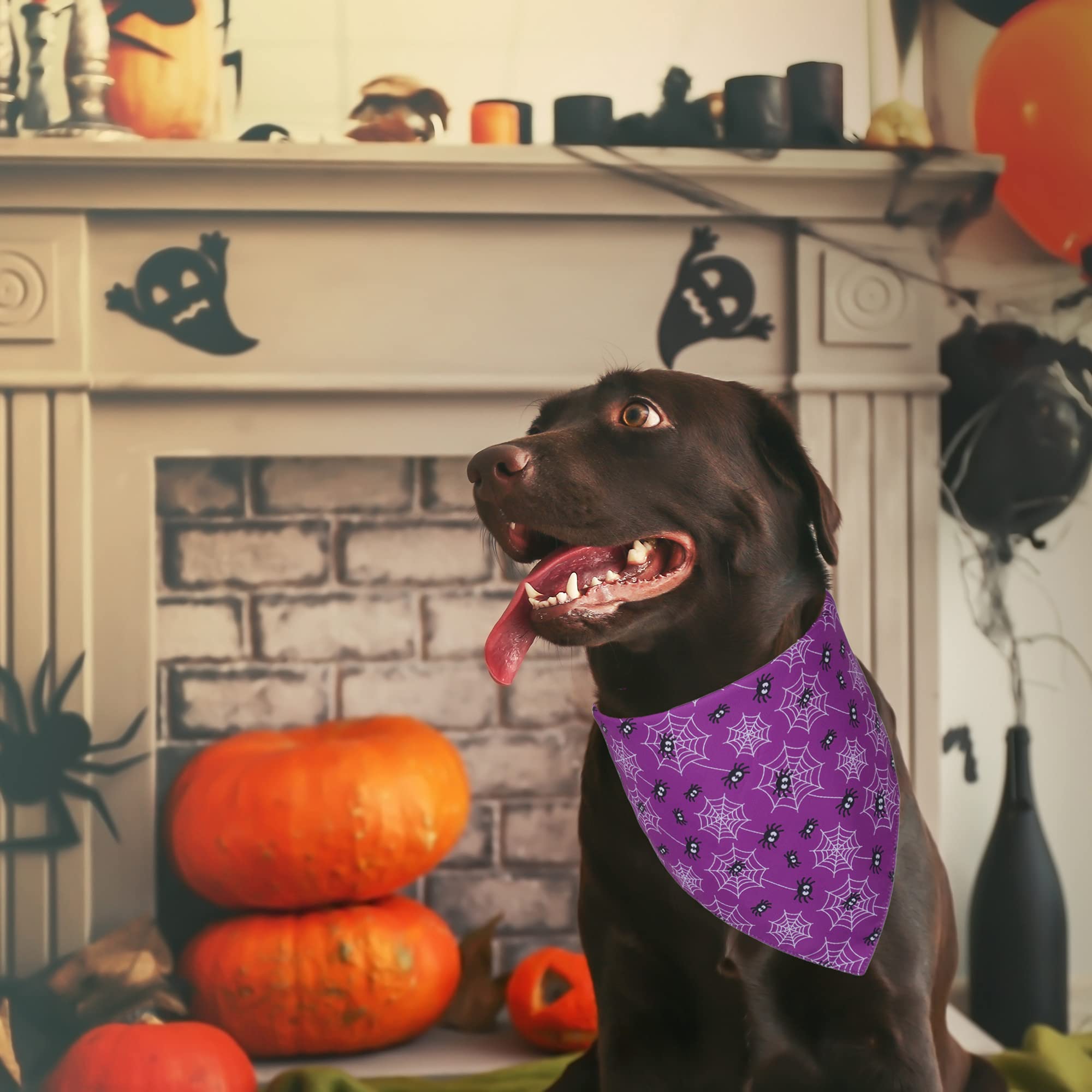 Adoggygo 2 Pack Halloween Dog Bandanas, Reversible Triangle Dog Scarf Accessories Halloween Bandanas For Small Dogs Pets (Small, Halloween-2)