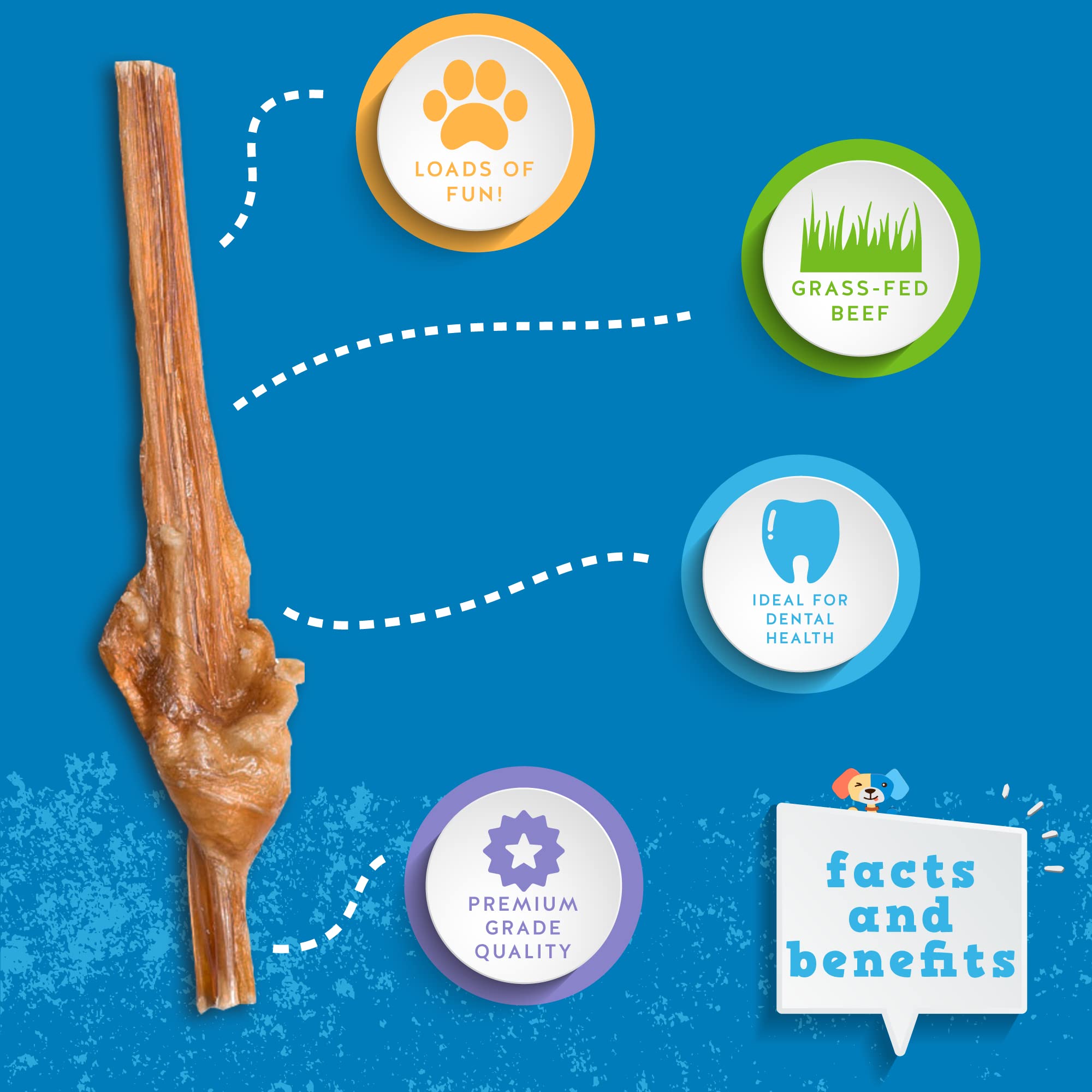 Jack&Pup 6 Inch Bladder Bully Sticks for Small Dogs (30 Pack) Single Ingredient Dog Treats, Puppy Chew Sticks