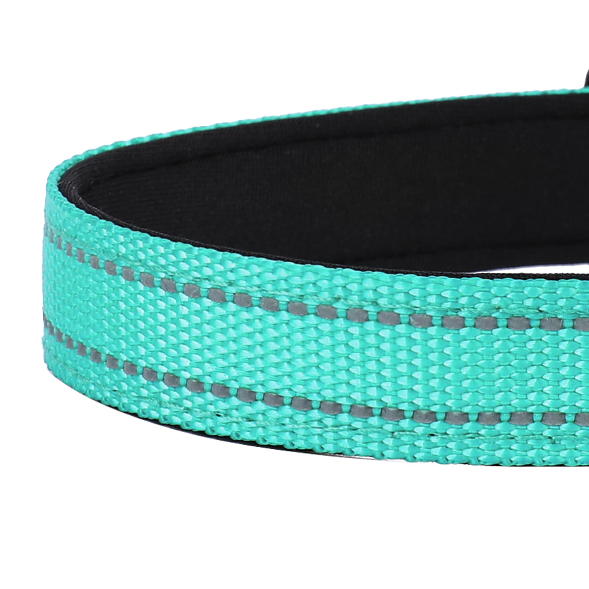 Pwod Reflective Dog Collar, Adjustable Soft Neoprene Padded Nylon Pet Collars With Buckle For Medium Dogs, Turquoise,M