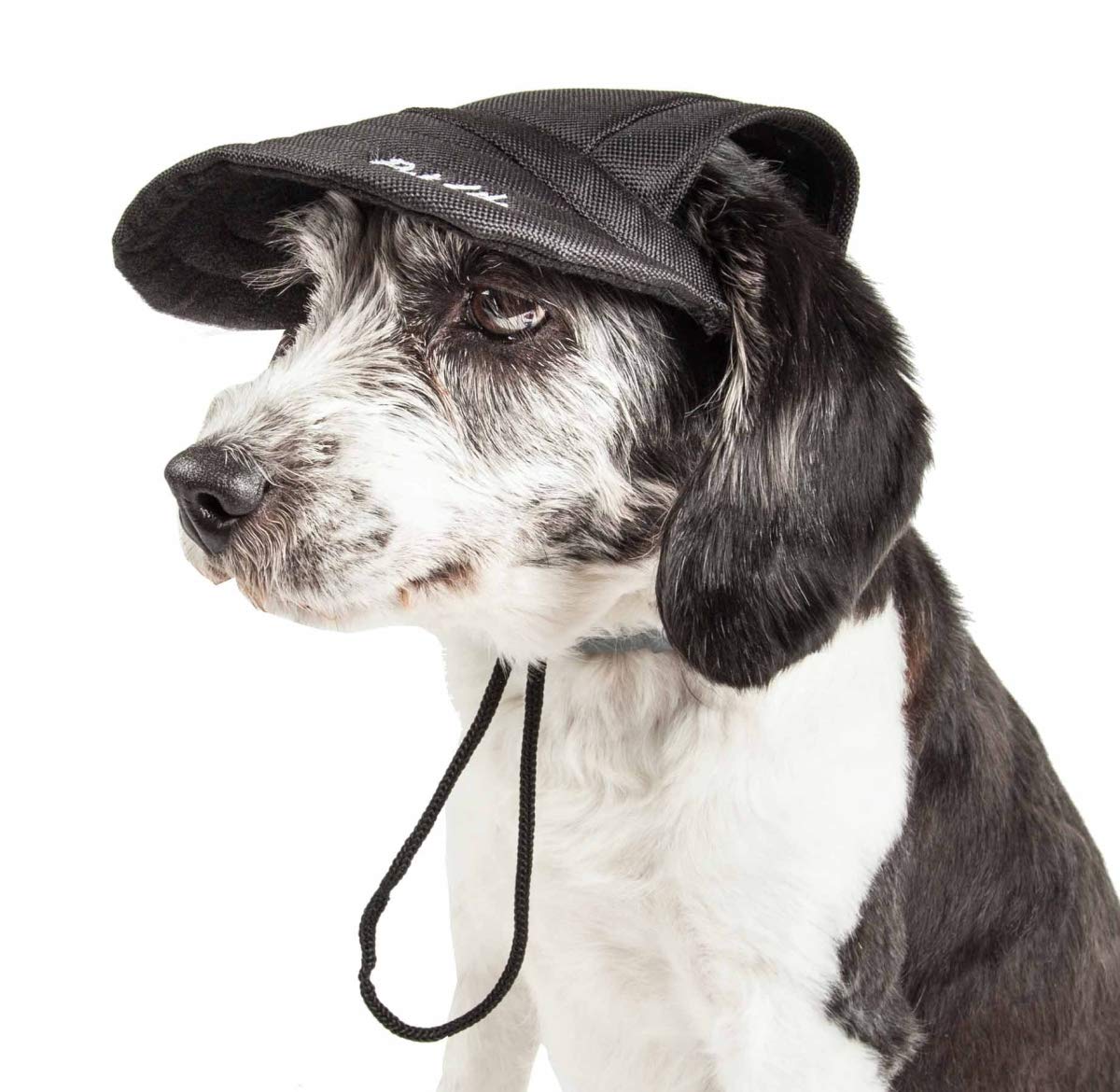 Cap-Tivating Uv Protectant Adjustable Fashion Dog Hat - Jet Black, Medium
